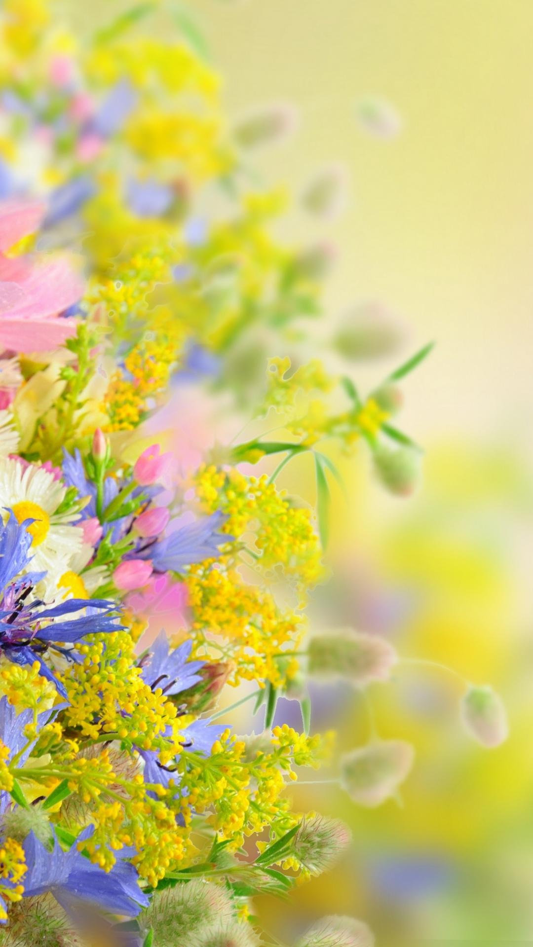 Nature Flowers iPhone Wallpaper