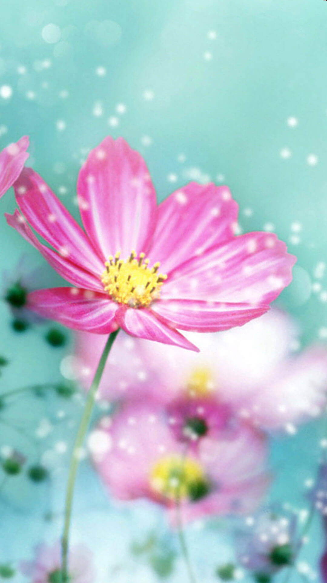 Download Dreamy Spring Flower iPhone Wallpaper