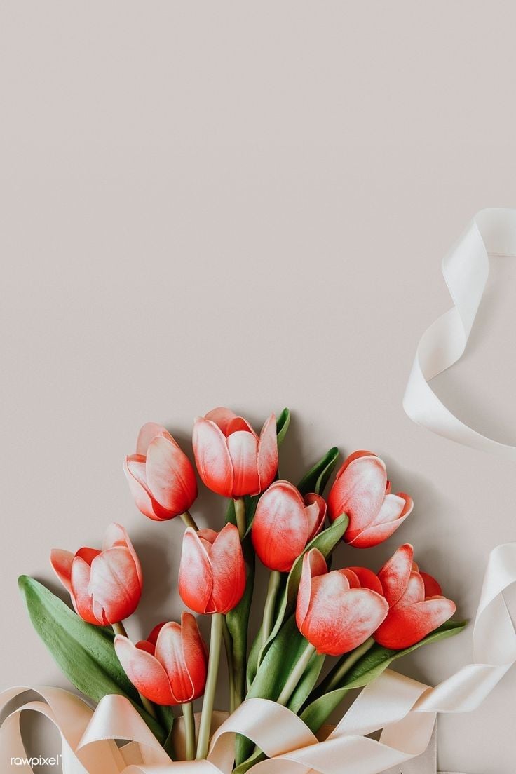 Free iPhone 11 Wallpaper: Flower Wallpaper Collection