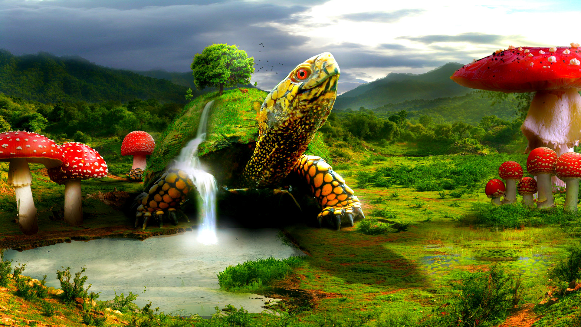 Turtle HD Background