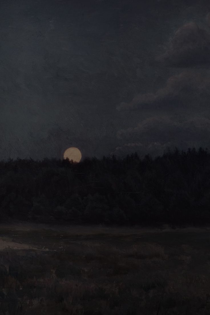 dark sunset. Dark forest aesthetic, Dark photography, Aesthetic background