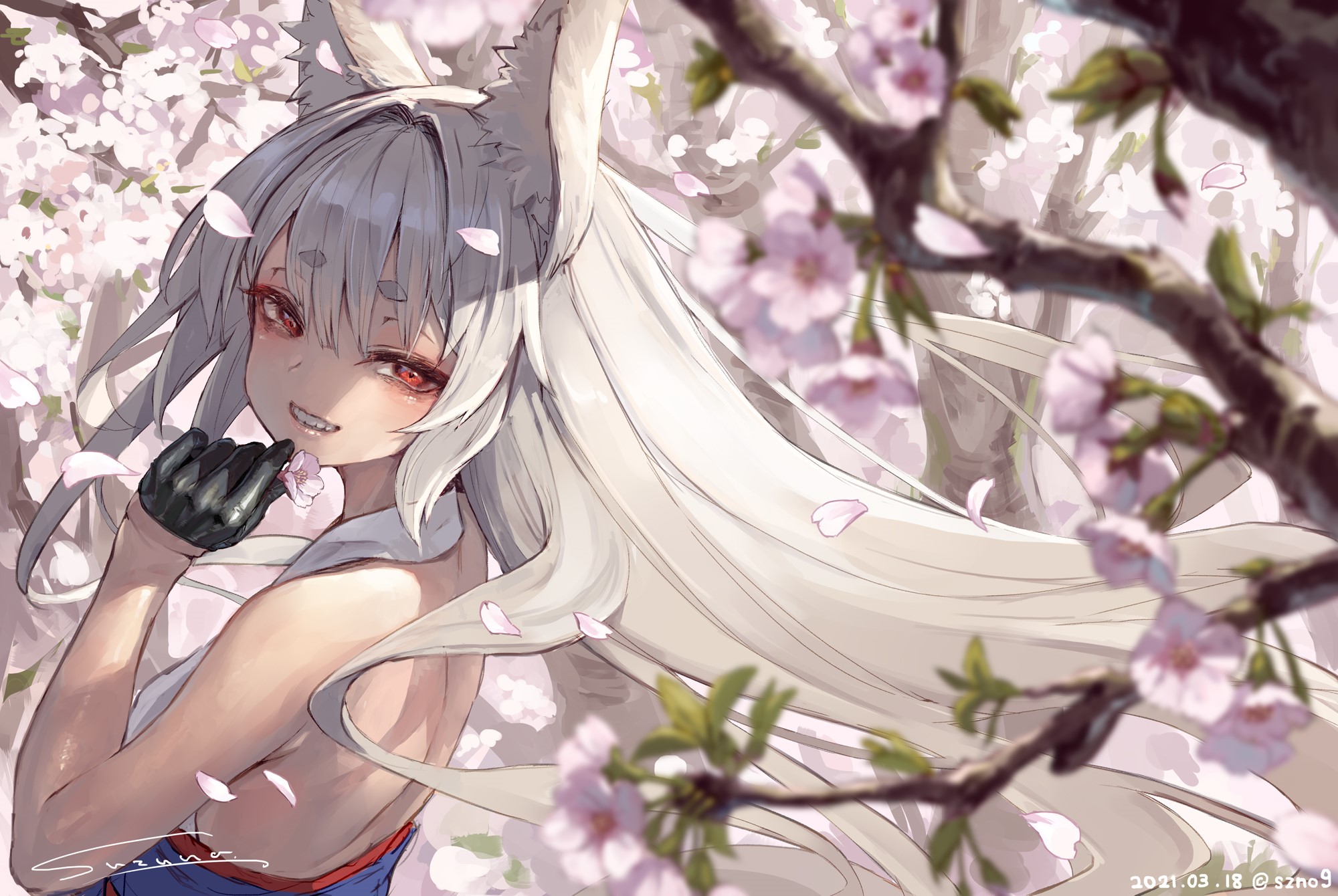 silver hair, animal ears, anime girls, anime, cherry blossom, red eyes, original characters, Suzuno Gallery HD Wallpaper