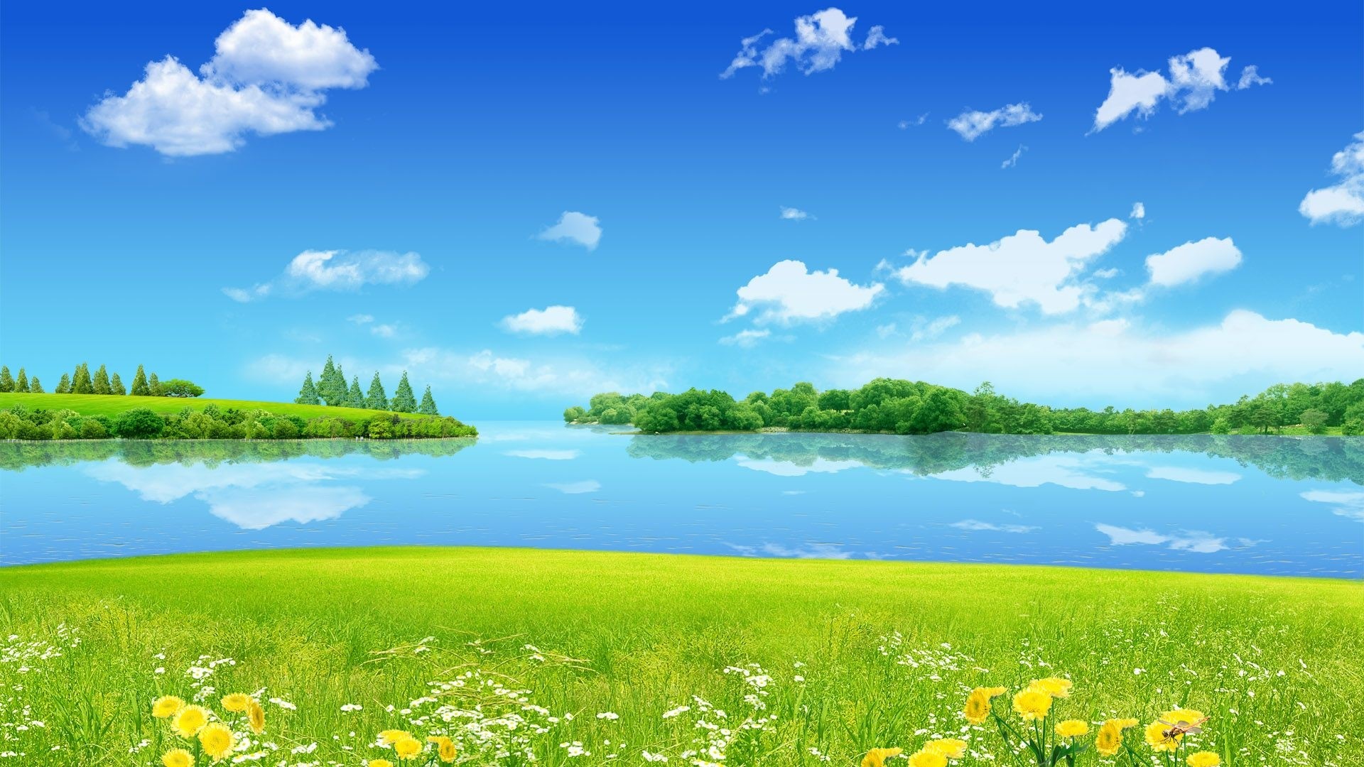 HD Summer Season Green Nature Gallery HD Wallpaper