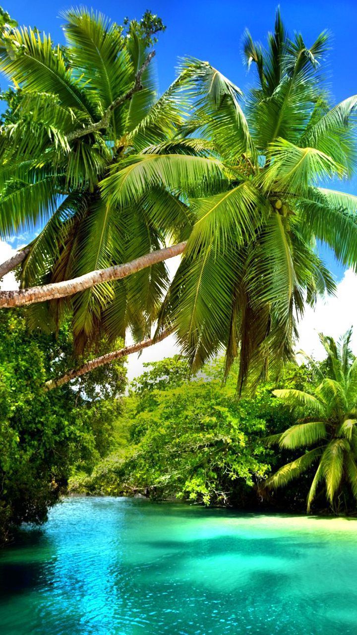 Hello Summer Wallpaper for mobile phone, tablet, desktop computer and other devices HD and. Summer wallpaper, Beautiful beach picture, Beautiful nature picture