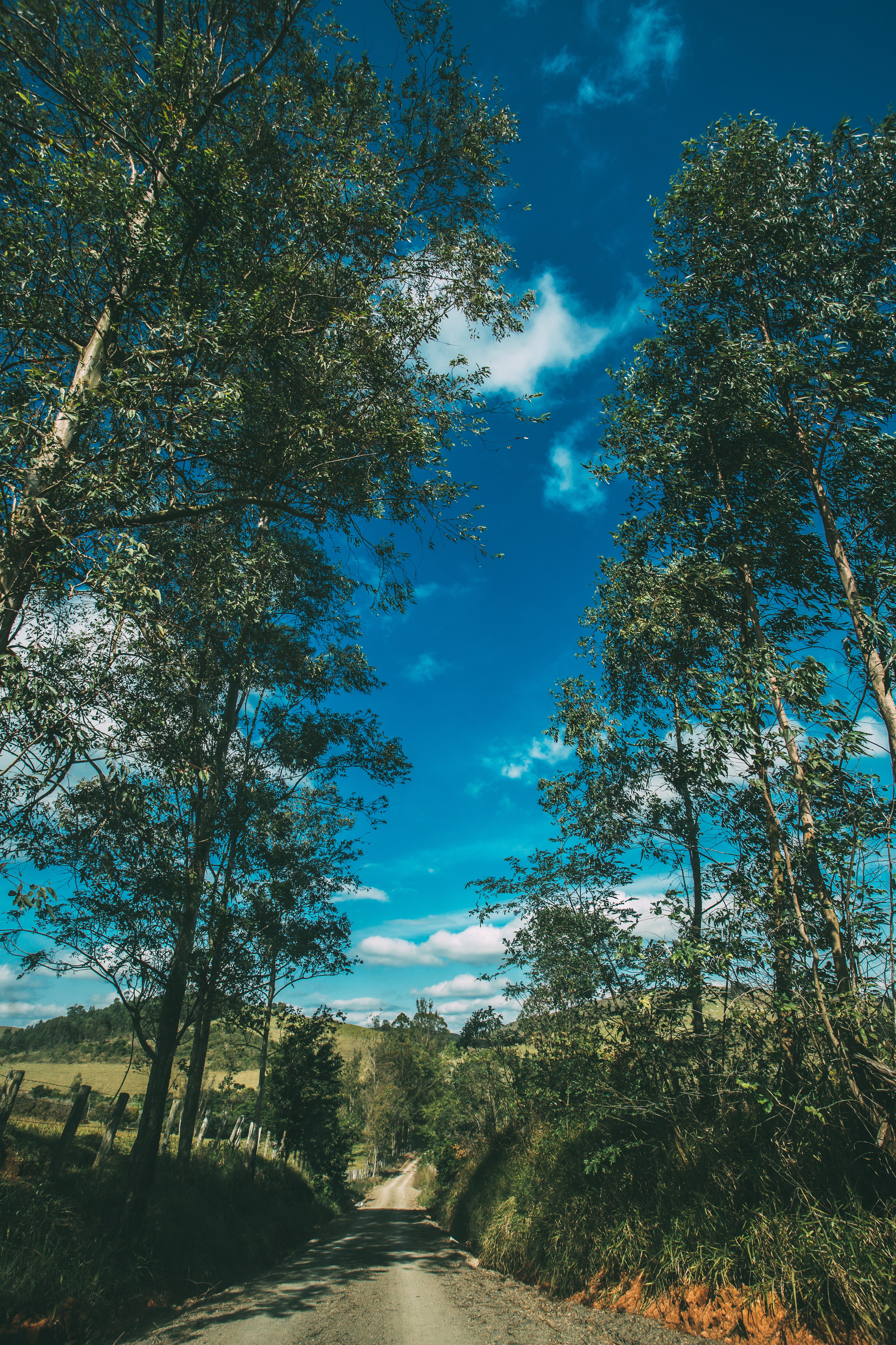 Download Summer wallpaper for mobile phone, free Summer HD picture