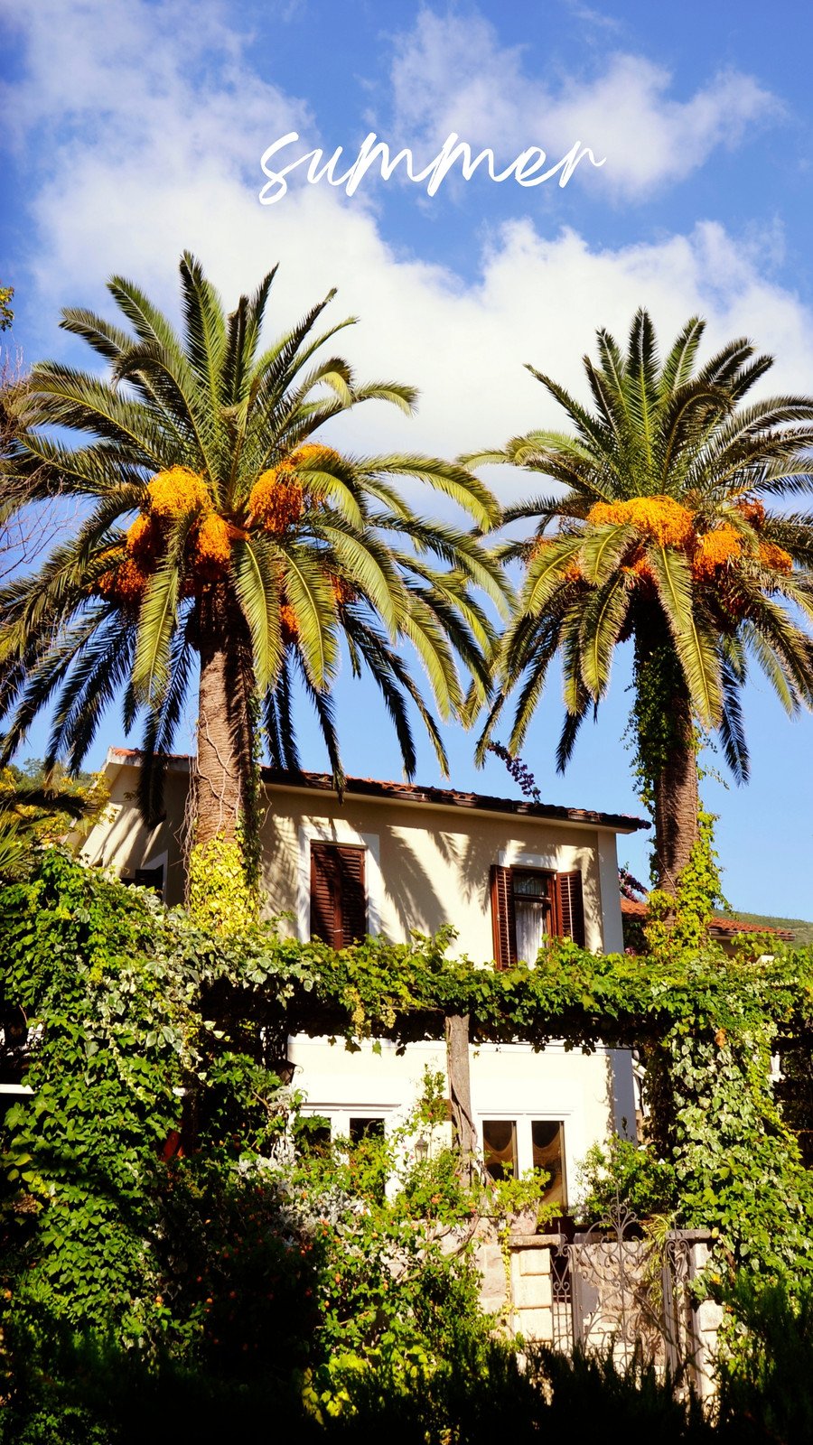 Beach Phone Wallpaper Online