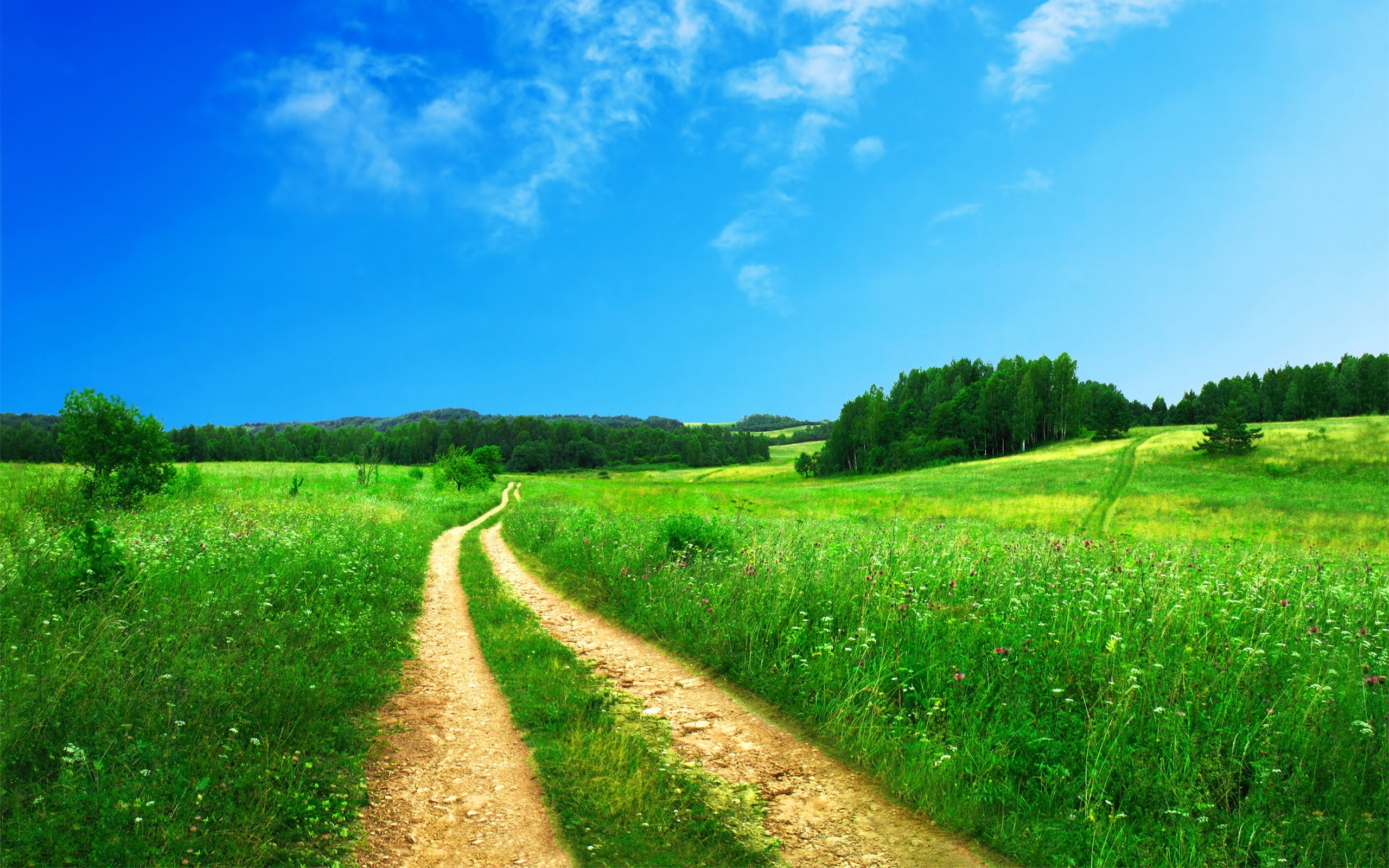Wallpaper / country dirt road with beautiful scenic grassy landscape and clear blue sky in spring, scenic dirt road in spring 4k wallpaper free download