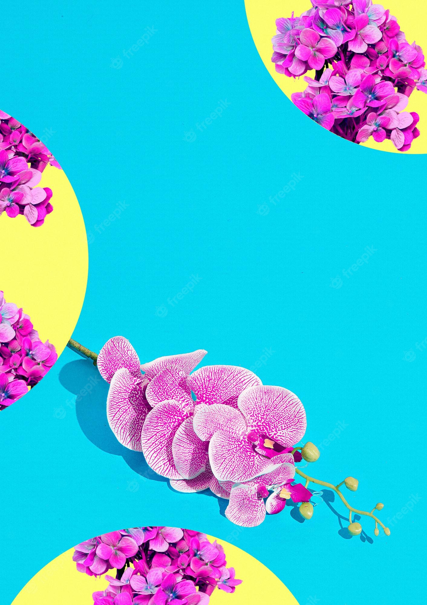 Premium Photo. Flowers collage art. minimal wallpaper. spring, summer, greeting card concept