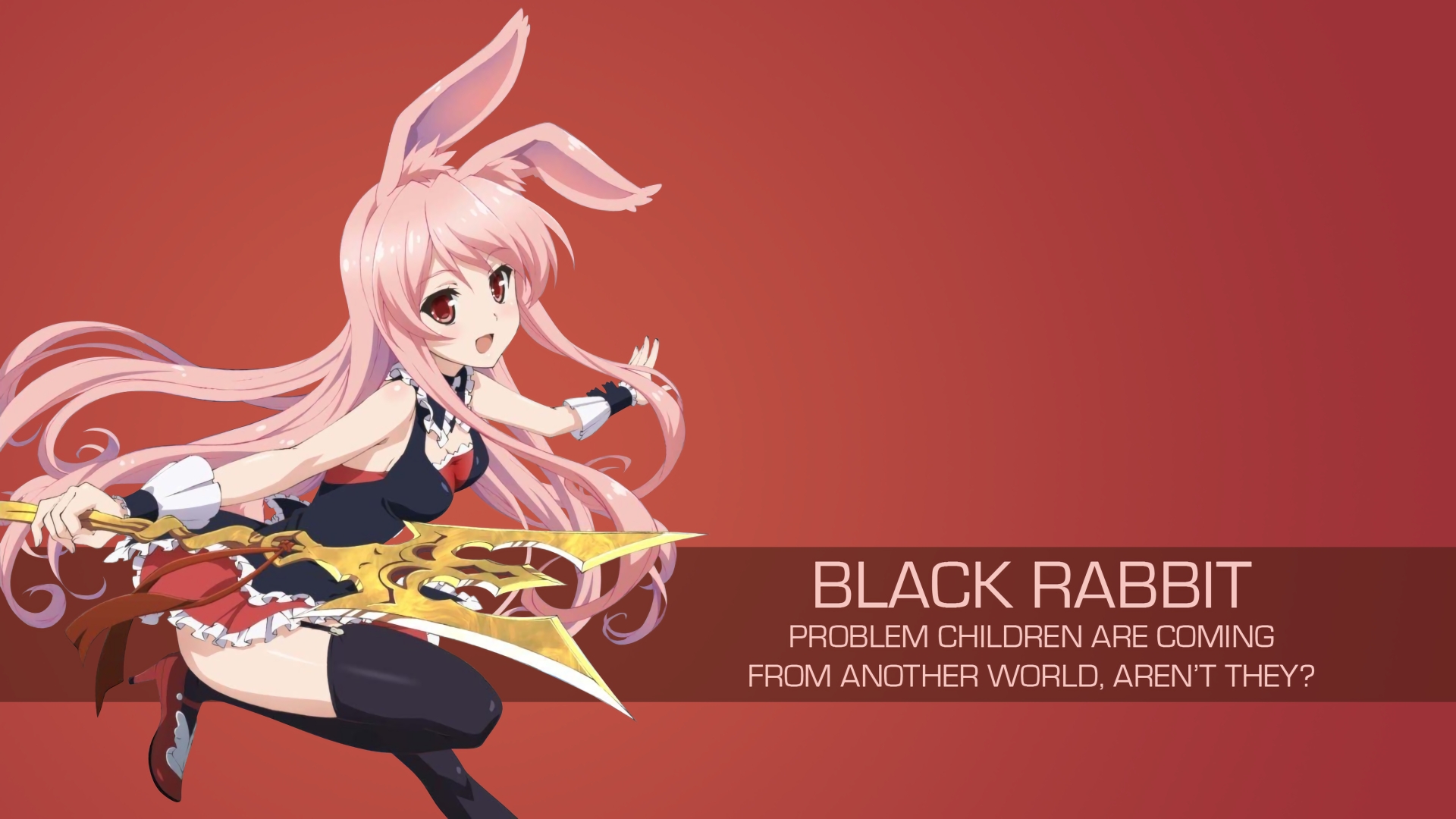 bunny ears HD wallpaper, background