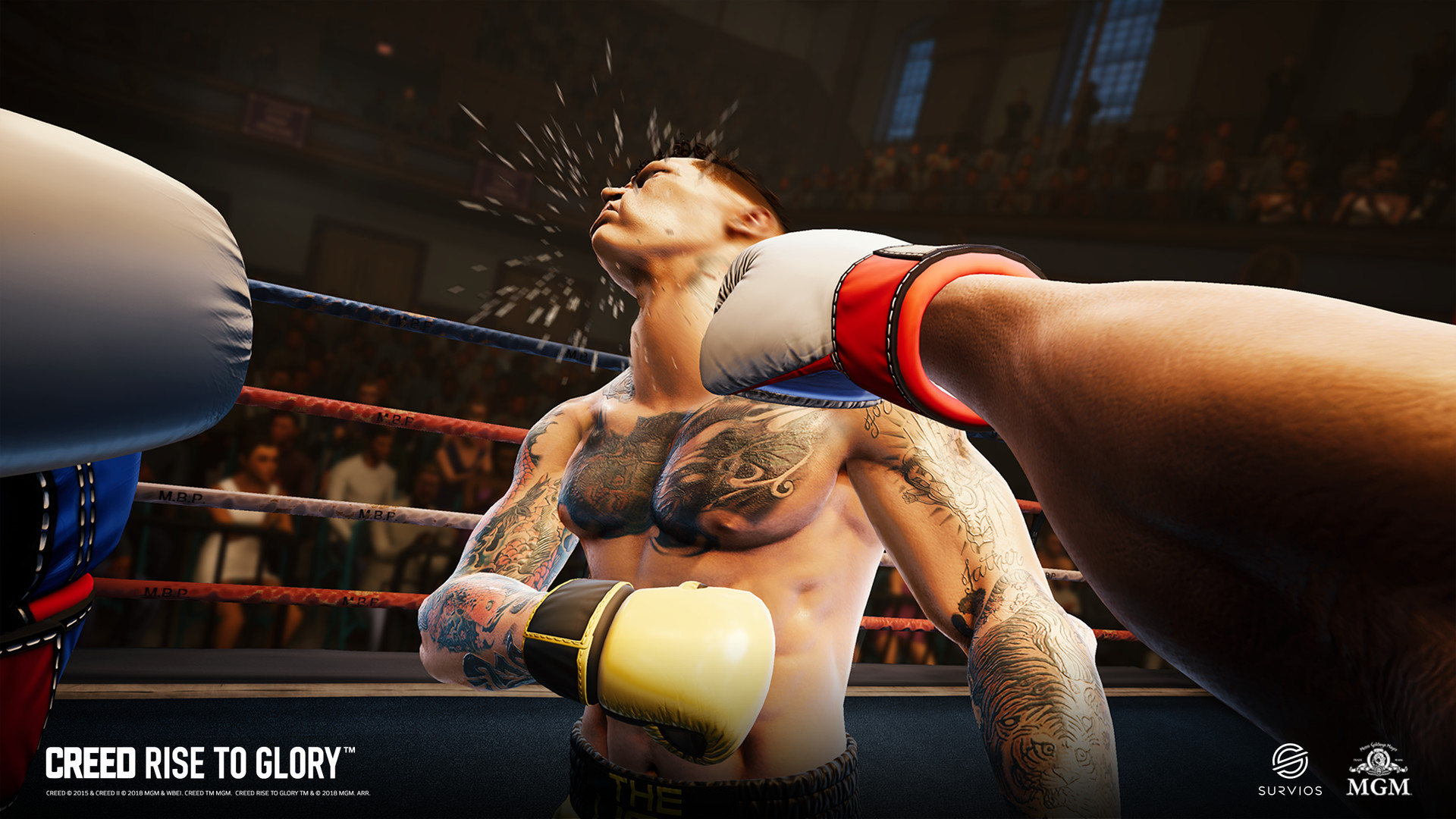 Creed: Rise to Glory™ on Steam