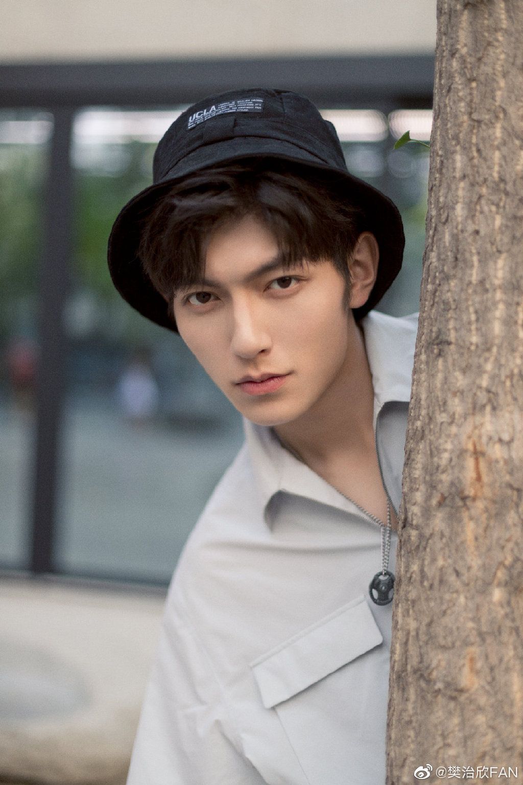 Fan Zhi Xin (樊治欣). Gambar wajah kartun, Gambar wajah, Aktor