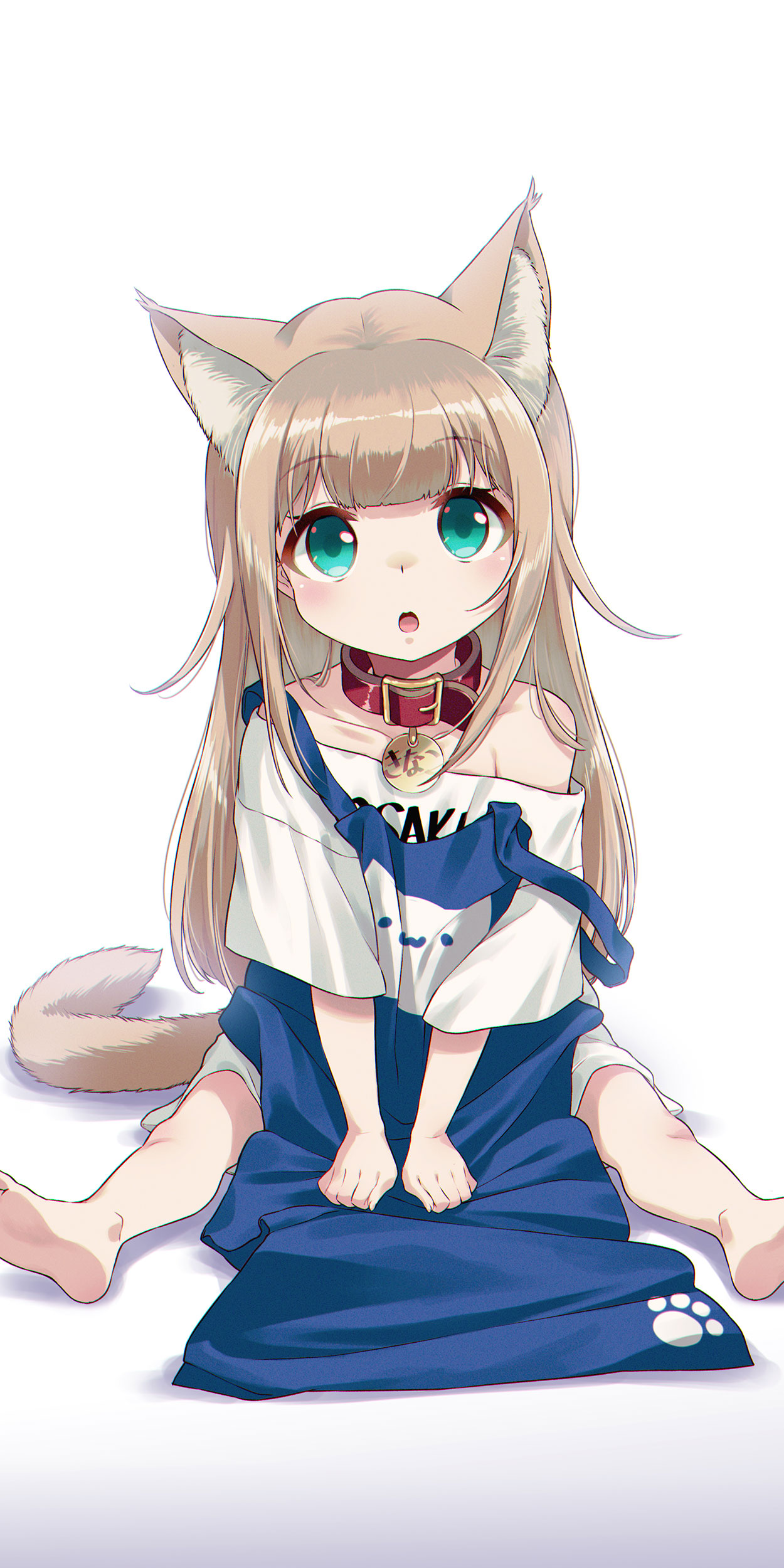 Osakana Neko Wallpapers Wallpaper Cave