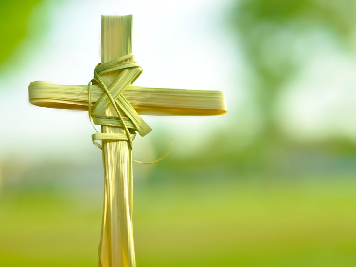 What Is Palm Sunday and Why Do We Celebrate It?: Entertainment, Recipes, Health, Life, Holidays