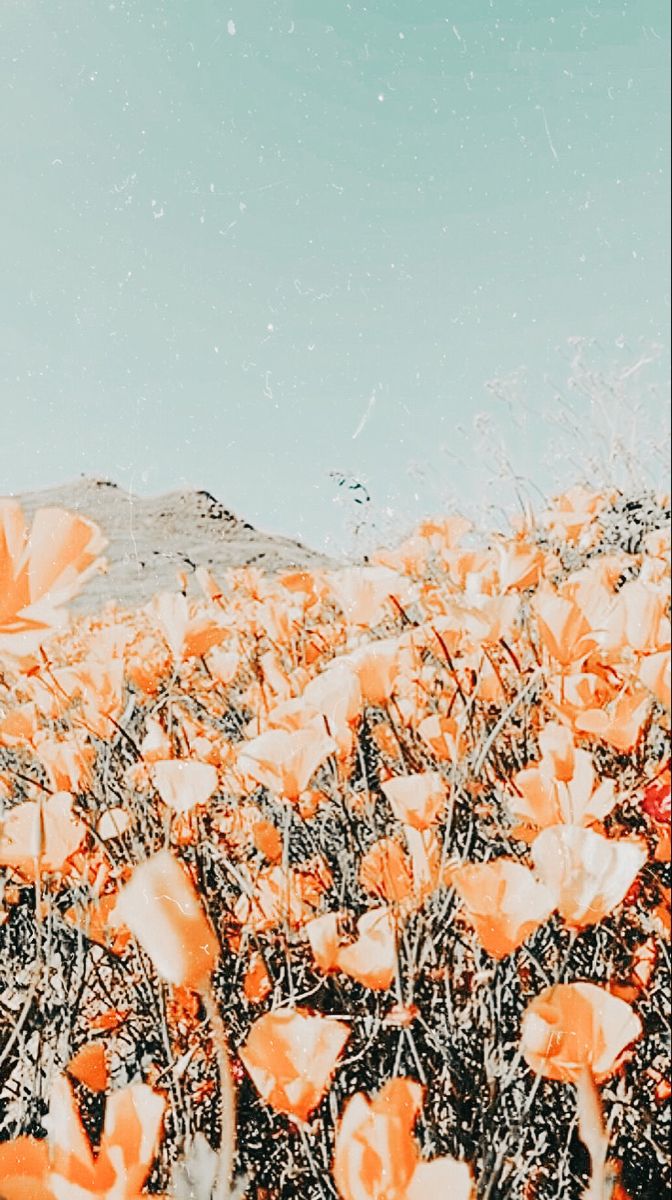 Pastel Spring Aesthetic Wallpapers Wallpaper Cave