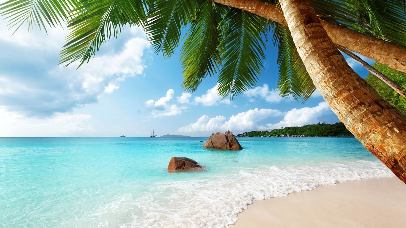 Wallpaper, landscape, sea, bay, sand, clouds, beach, coast, palm trees, swimming pool, tropical, island, lagoon, summer, Caribbean, Seychelles, vacation, exotic, ocean, tropics, arecales 1366x768