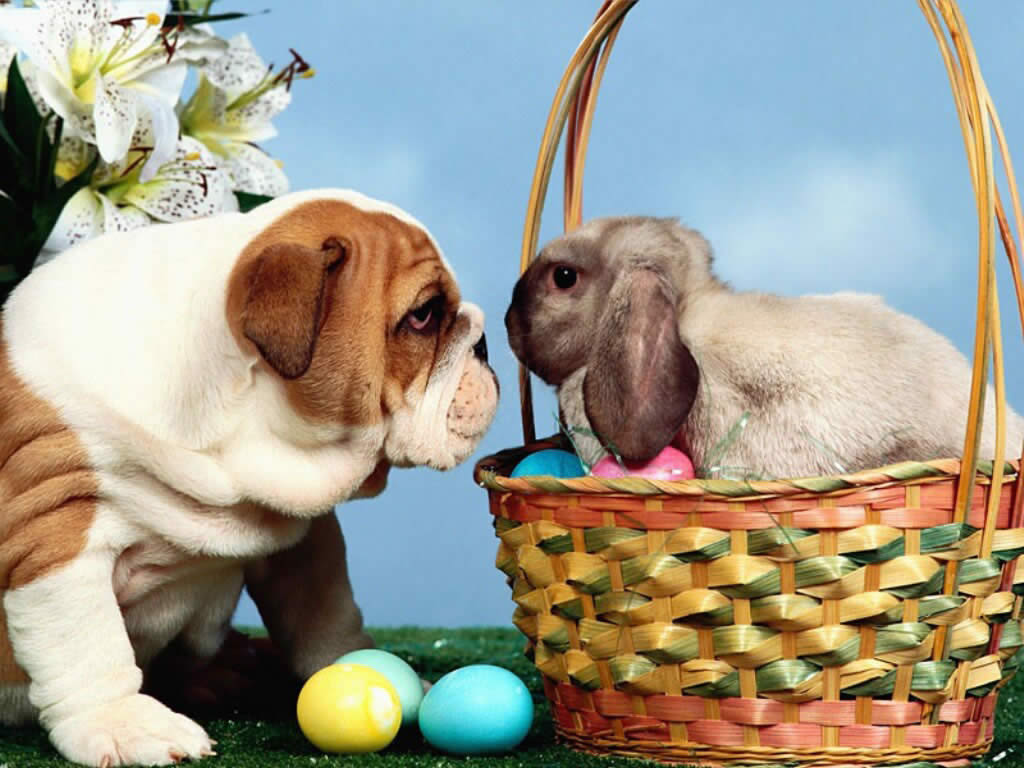 Easter Wallpaper with Cute Animals