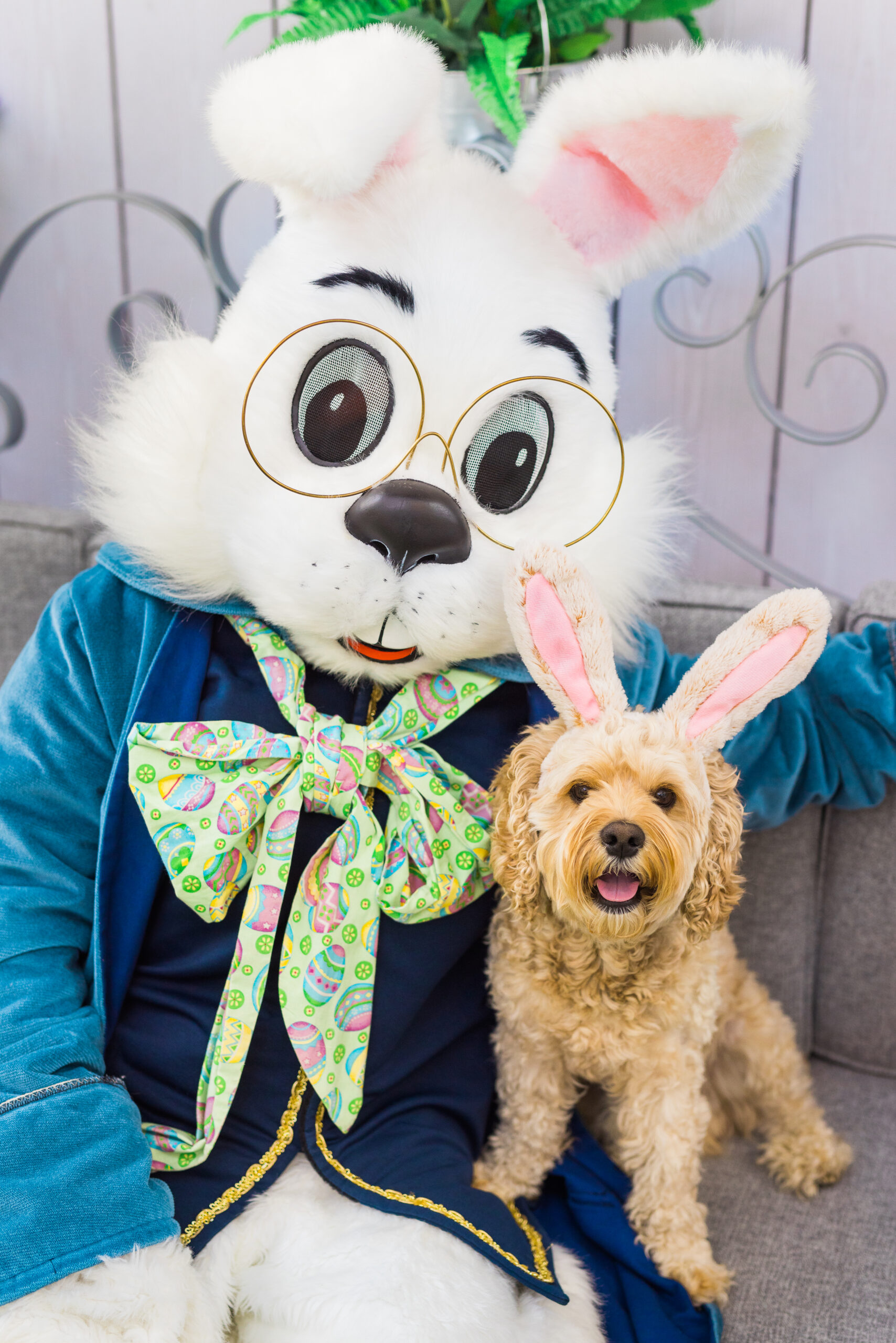 Easter Bunny Photo in NJ