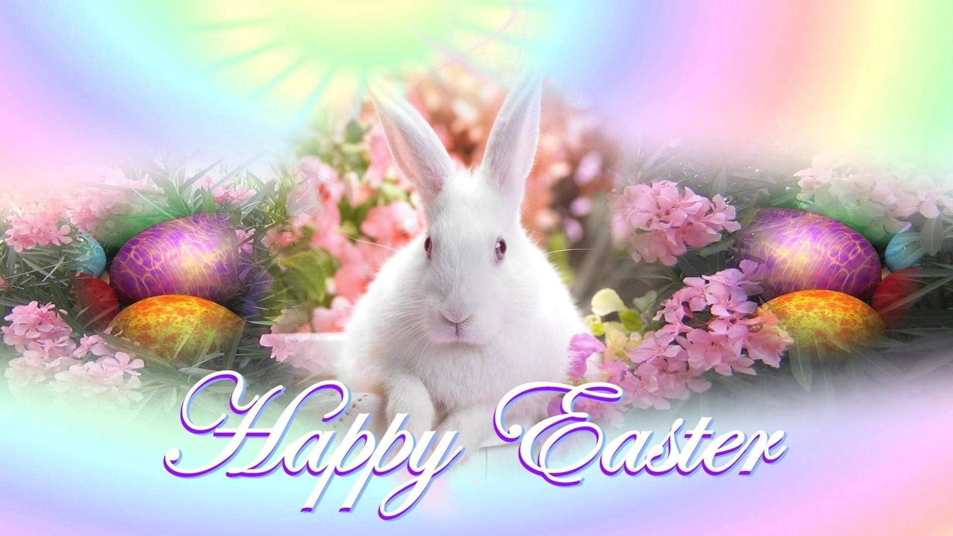 Download Cute Happy Easter Bunny Wallpaper