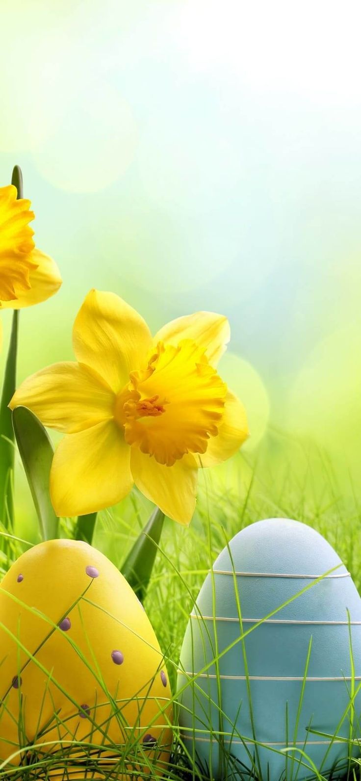 Eloquent Easter Photo Background – PepperLu