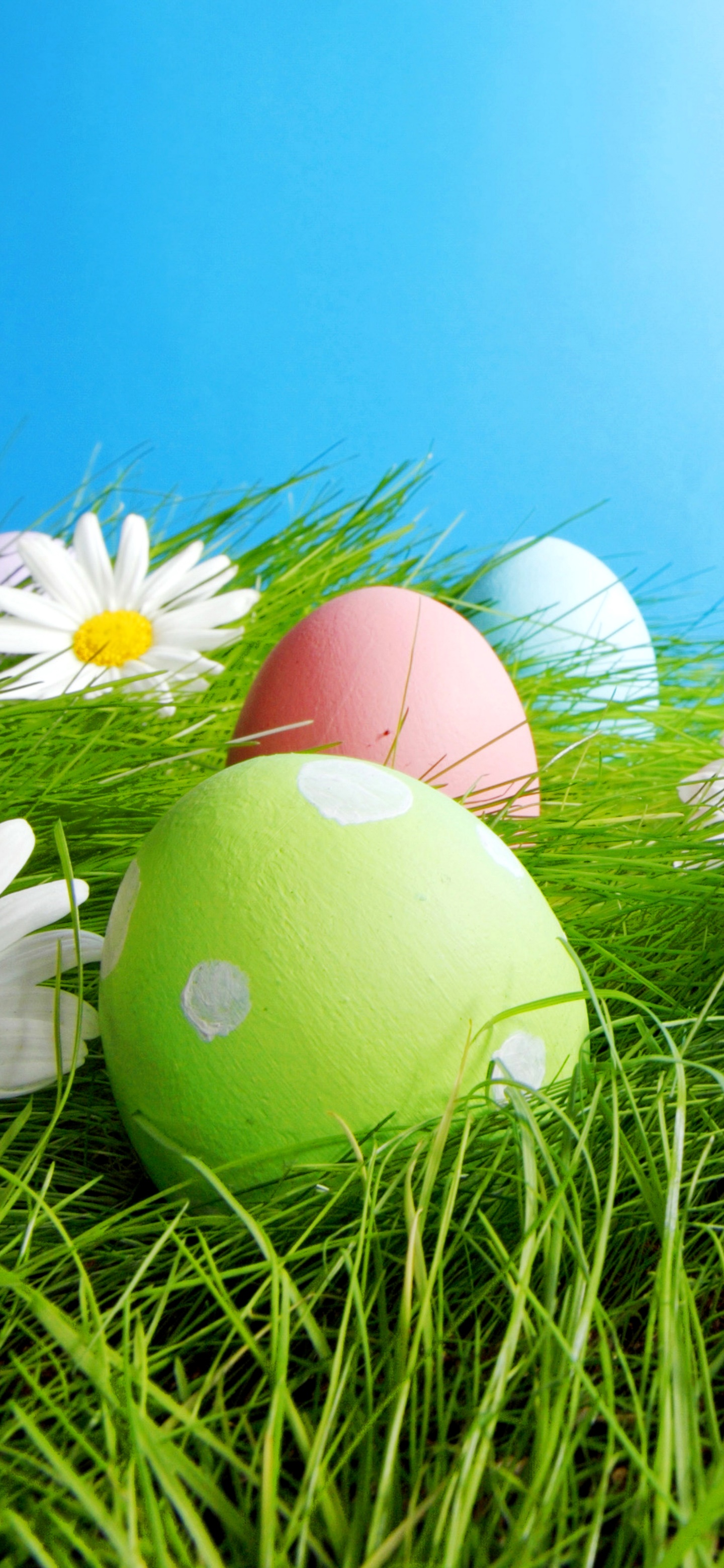 Wallpaper / Holiday Easter Phone Wallpaper, Easter Egg, 1440x3120 free download