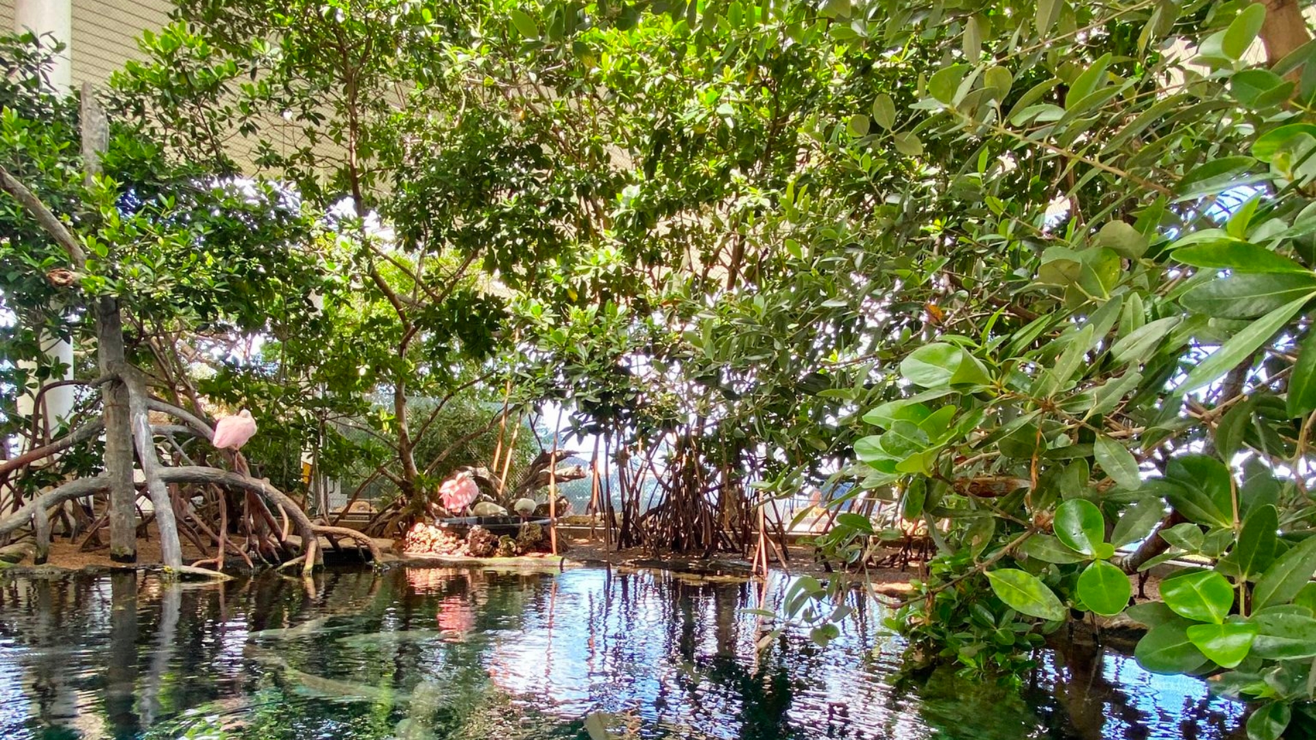 Earth Day 2023: Presented