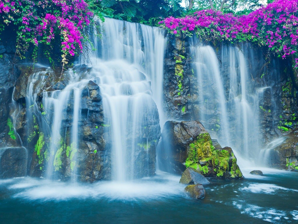 Free download Waterfall Wallpaper [1024x768] for your Desktop, Mobile & Tablet. Explore Wallpaper Waterfall. Waterfall Background Picture, Waterfall Wallpaper, Waterfall Background