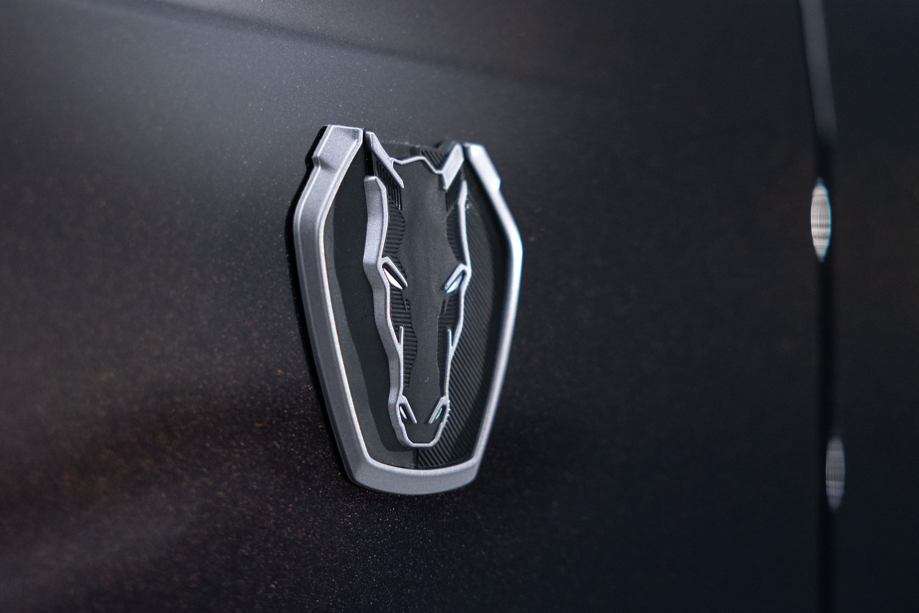 Mustang Dark Horse Spawns Two Track Only Variants