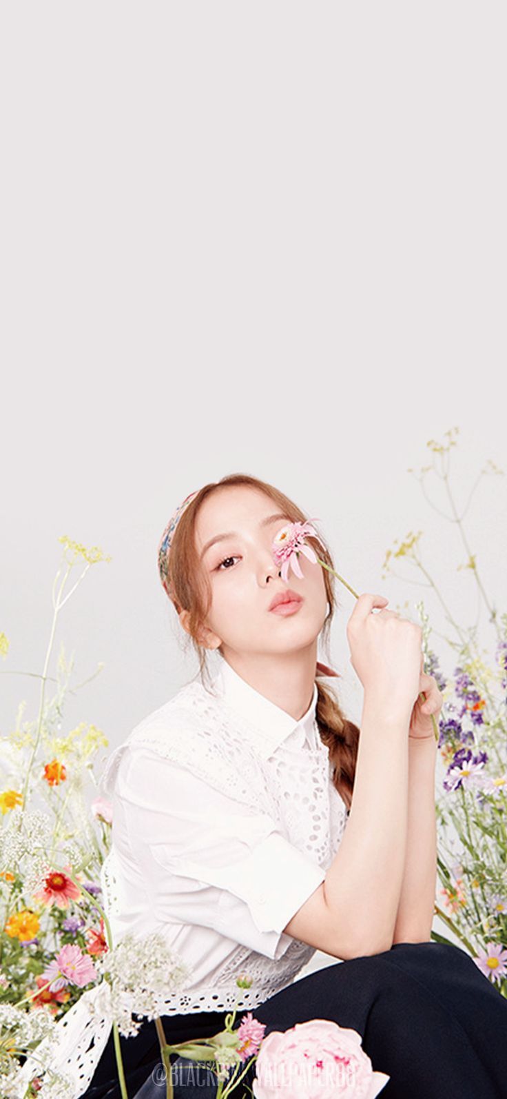 JISOO WALLPAPER. พื้นหลัง