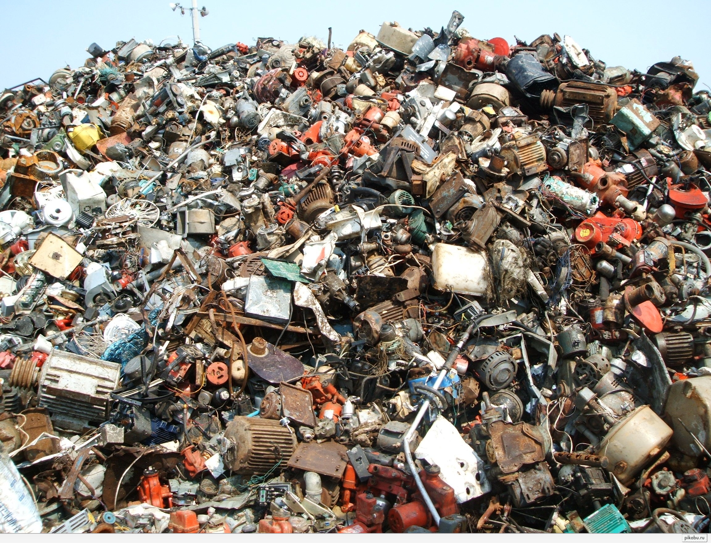 Find the cat in a landfill Desktop wallpaper 1600x1200