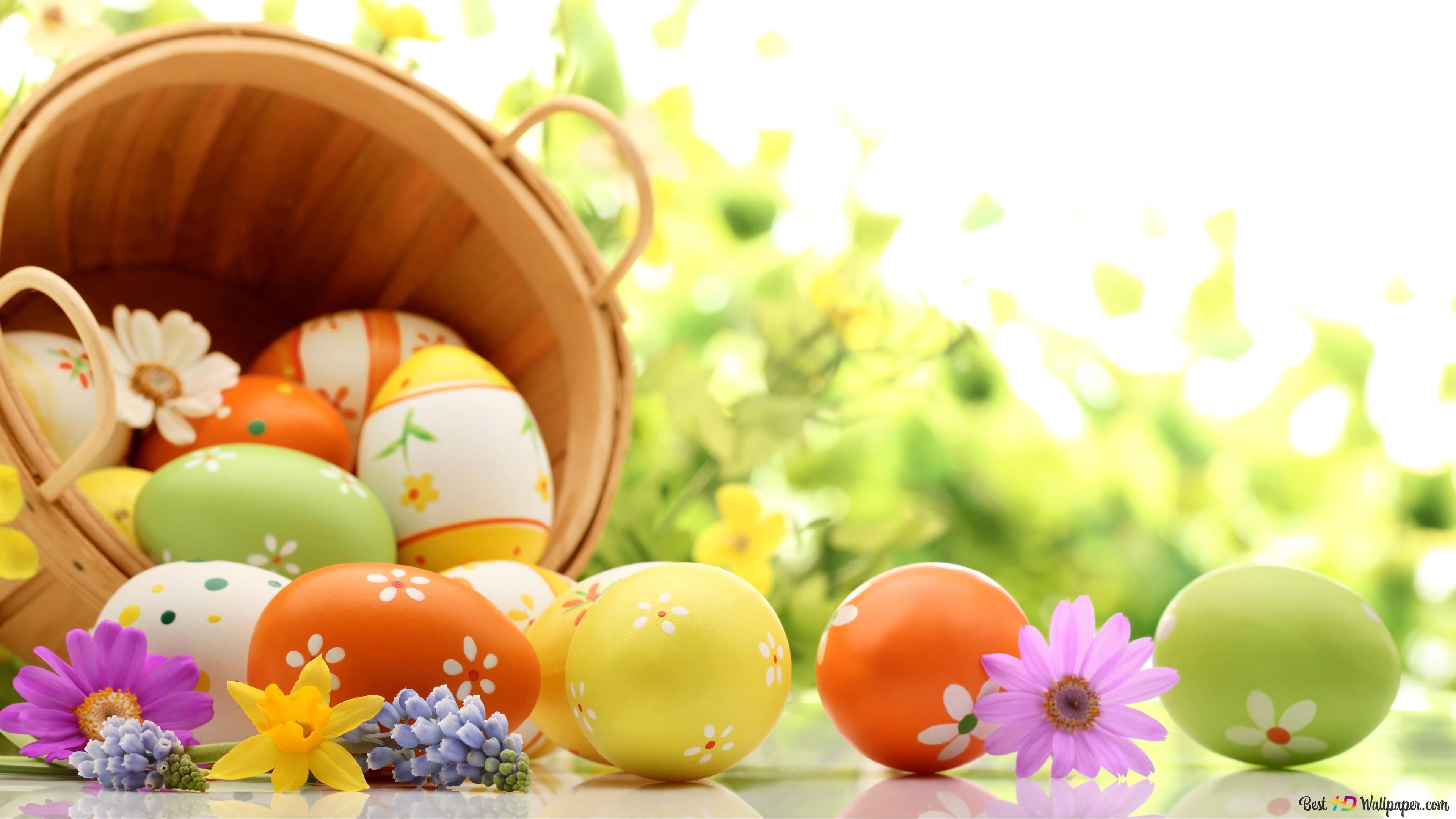 Easter colorful eggs 4K wallpaper download