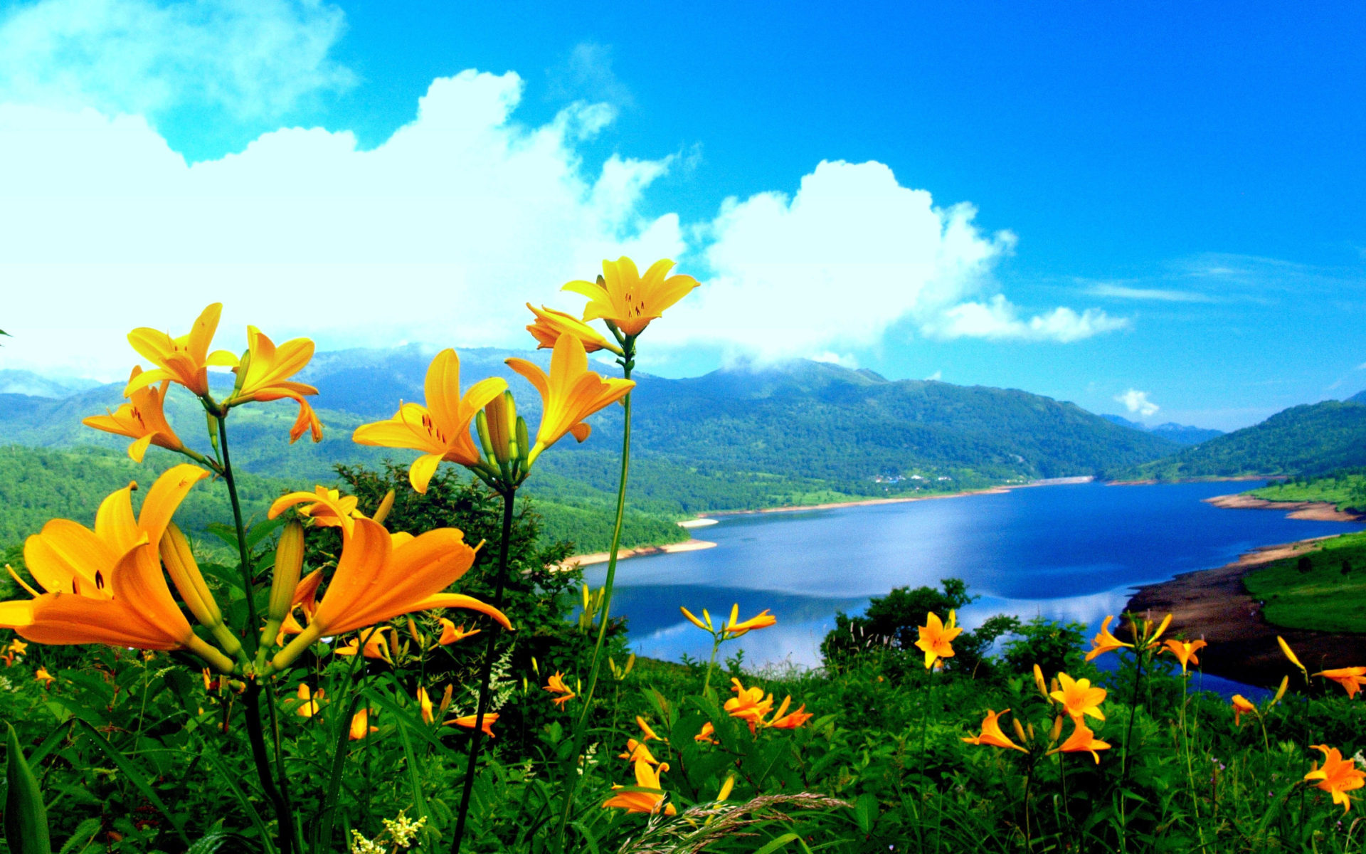 Spring Lily Yellow Flowers Lake Mountainnature Landscape Wallpaper HD 3840x2160, Wallpaper13.com
