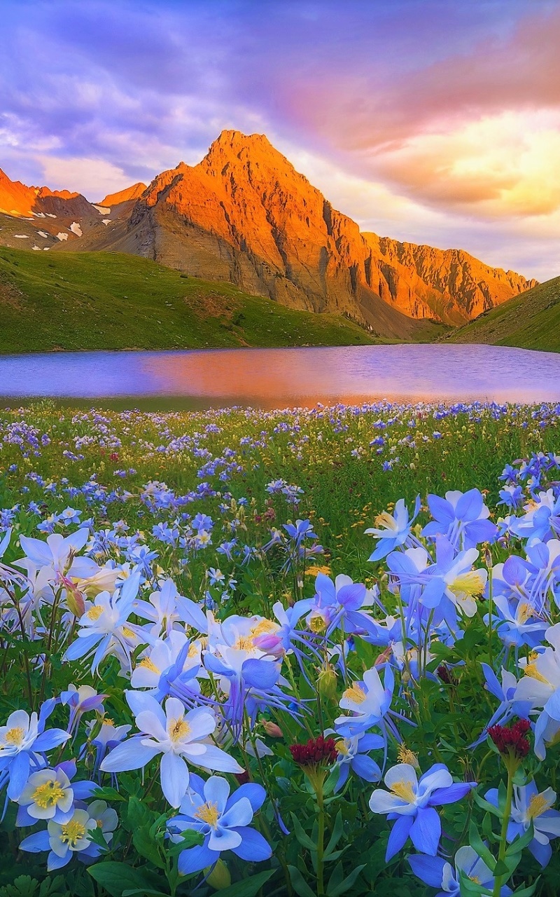 Wallpaper / Earth Lake Phone Wallpaper, Mountain, Landscape, Spring, Blue Flower, Flower, 800x1280 free download