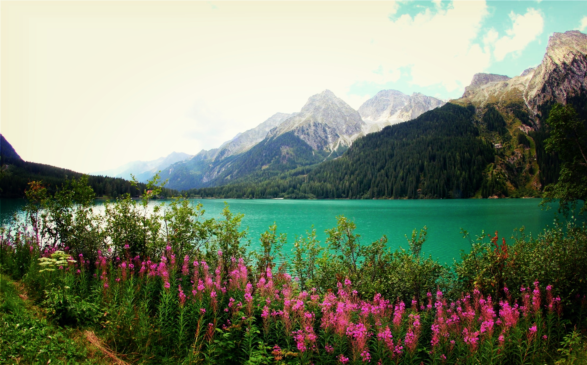 Mobile wallpaper: Lakes, Mountain, Lake, Flower, Earth, Spring, Pink Flower, 412930 download the picture for free