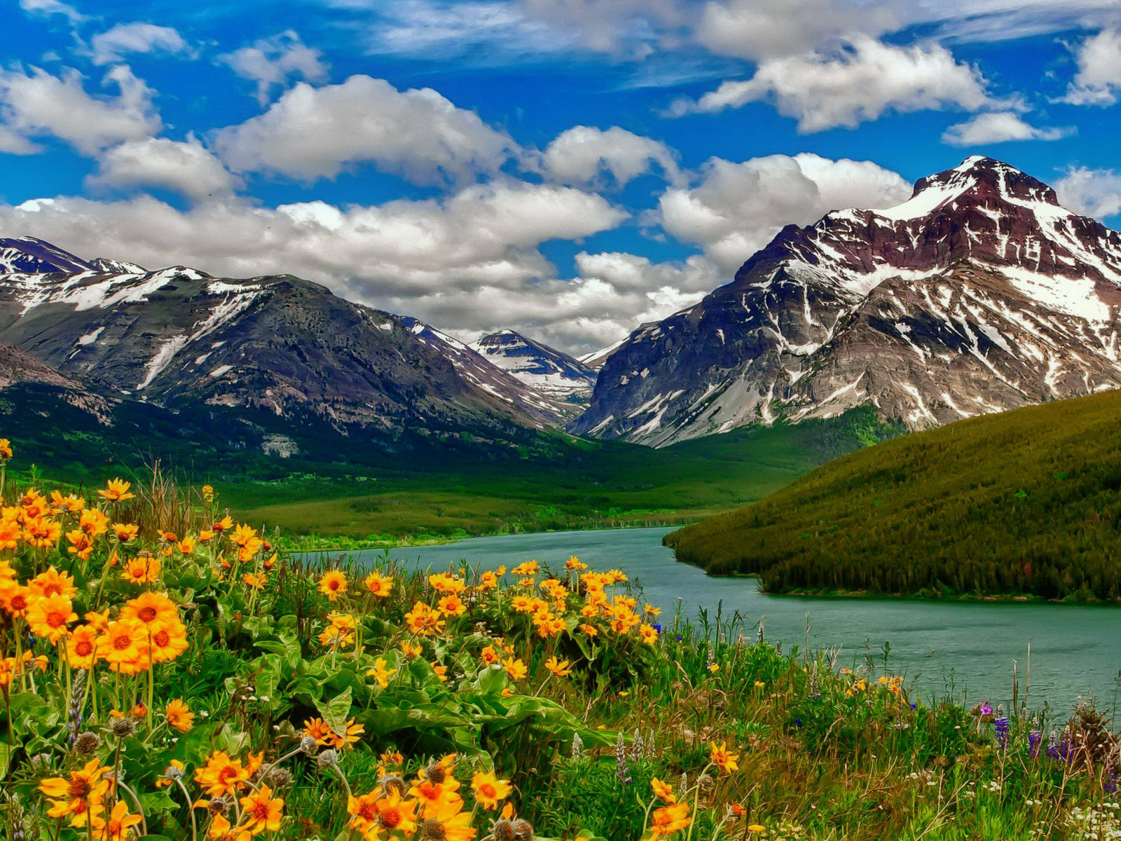 Spring Landscape Wild Flowers Yellow Color Lake Mountains With Remains Of Snow HD Desktop Wallpaper 2880x1620, Wallpaper13.com