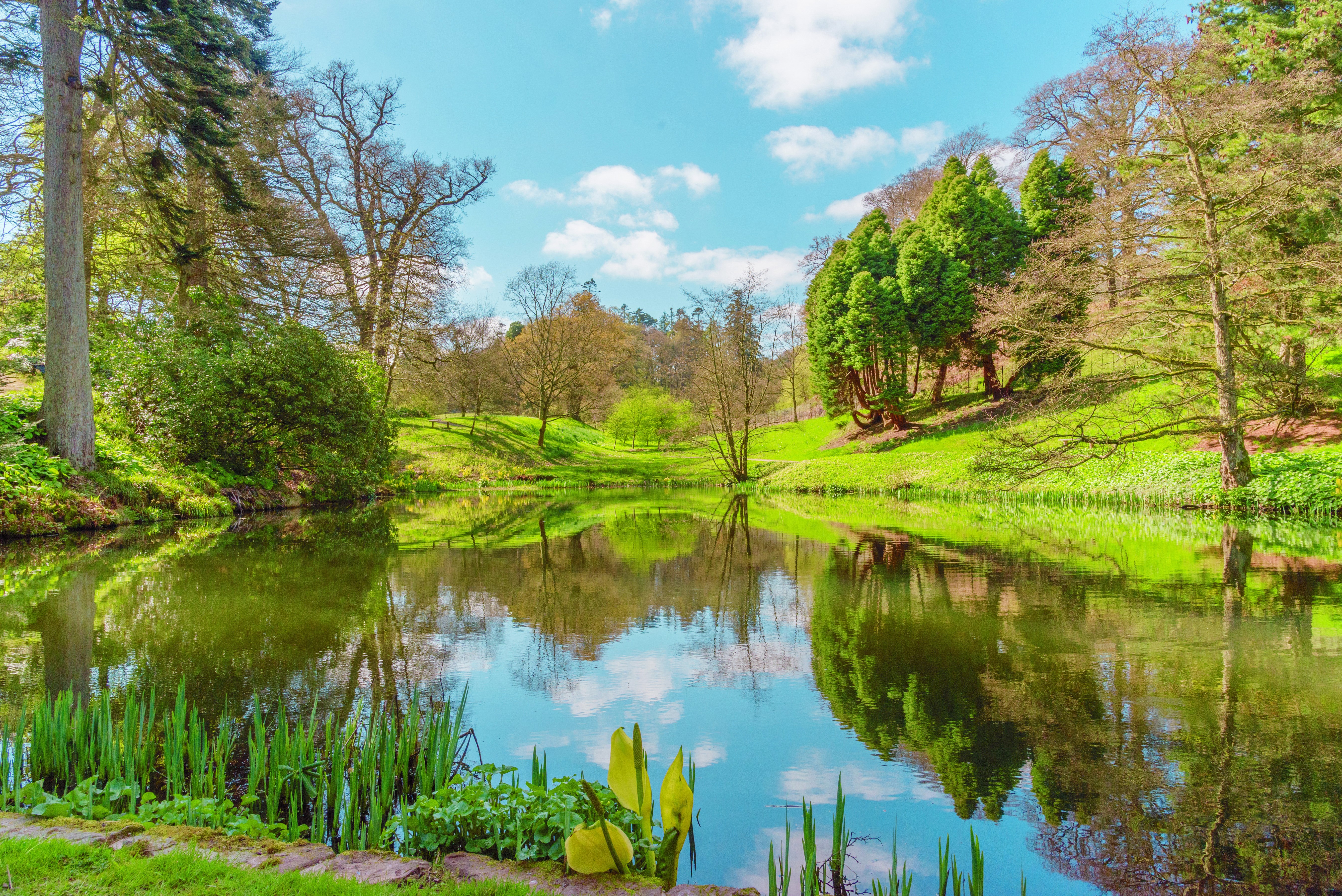 4K, 5K, Powys County, United Kingdom, Spring, Lake, Scenery, Trees, Wales Gallery HD Wallpaper