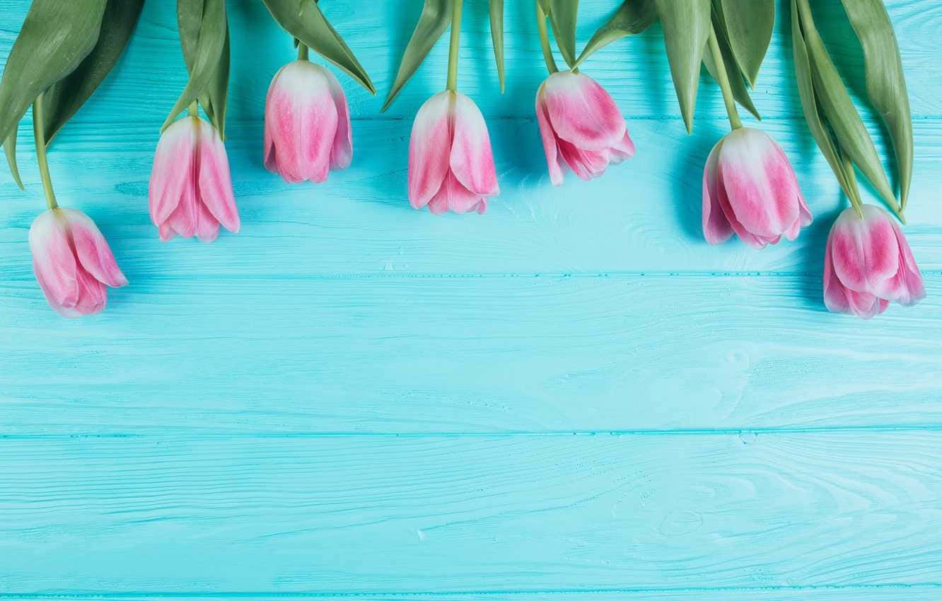 Basic Spring Wallpapers - Wallpaper Cave