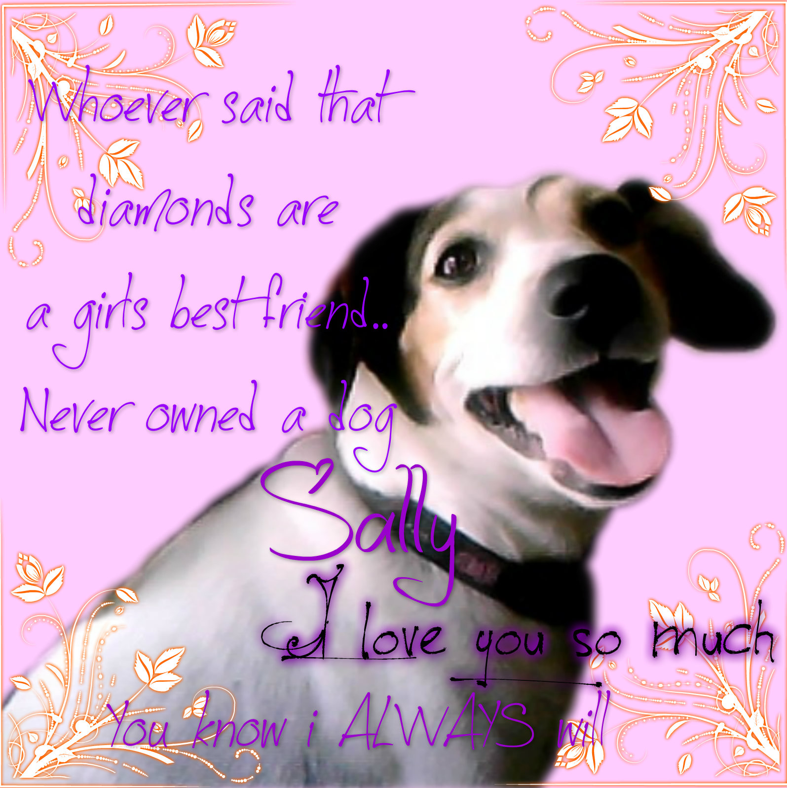 Dog Best Friends Wallpapers - Wallpaper Cave