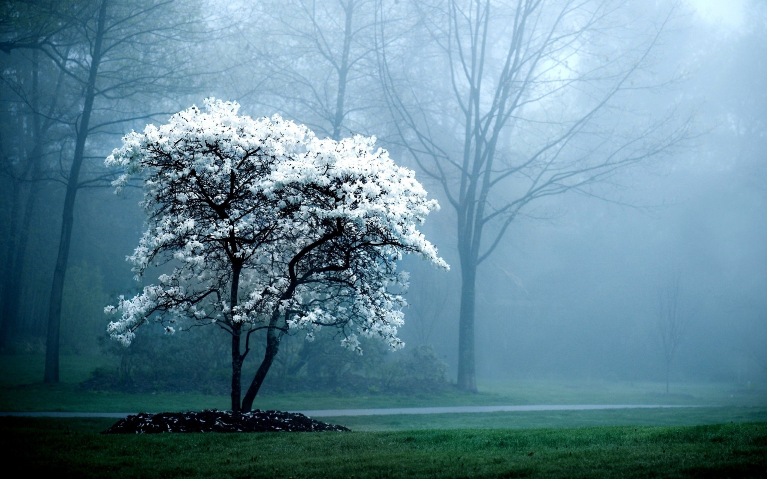 Spring Weather Wallpaper Free Spring Weather Background