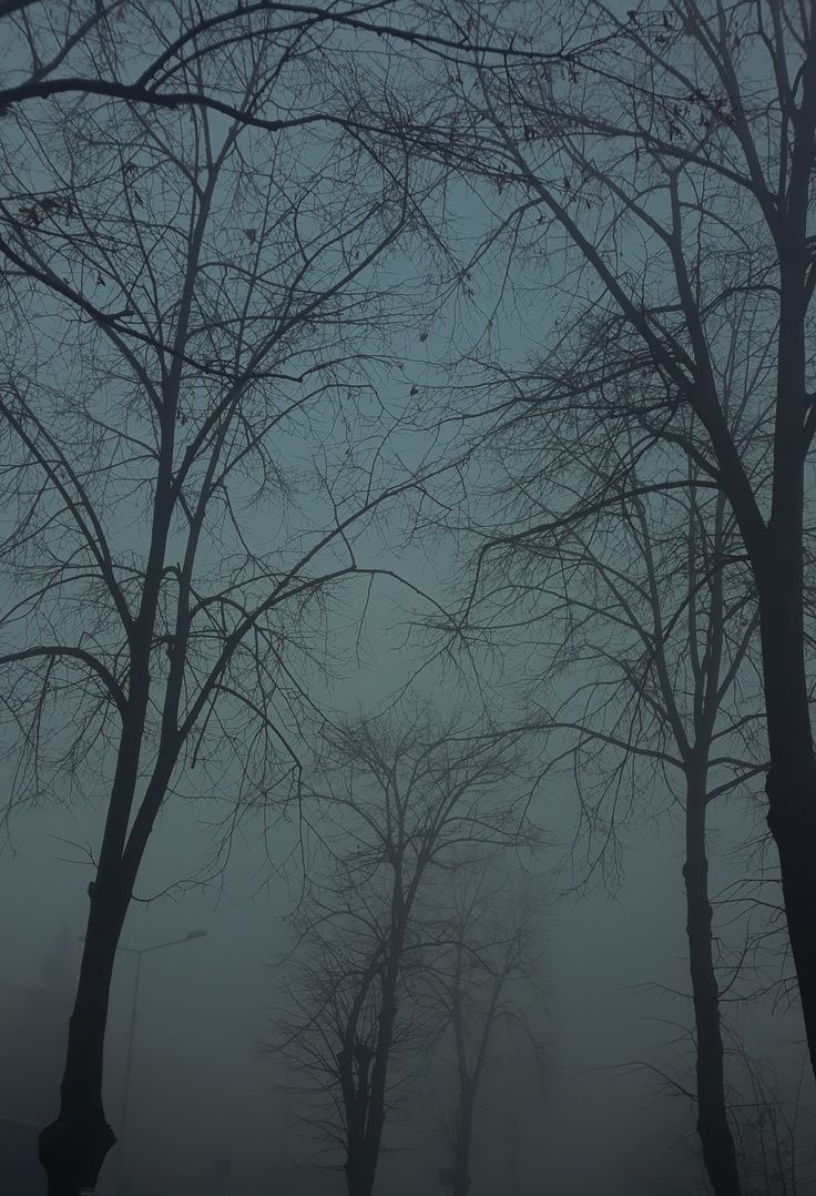 dark aesthetic. Dark weather, Fog photography, Foggy weather