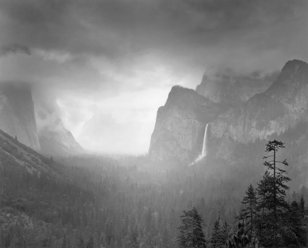 Spring Rain, Yosemite