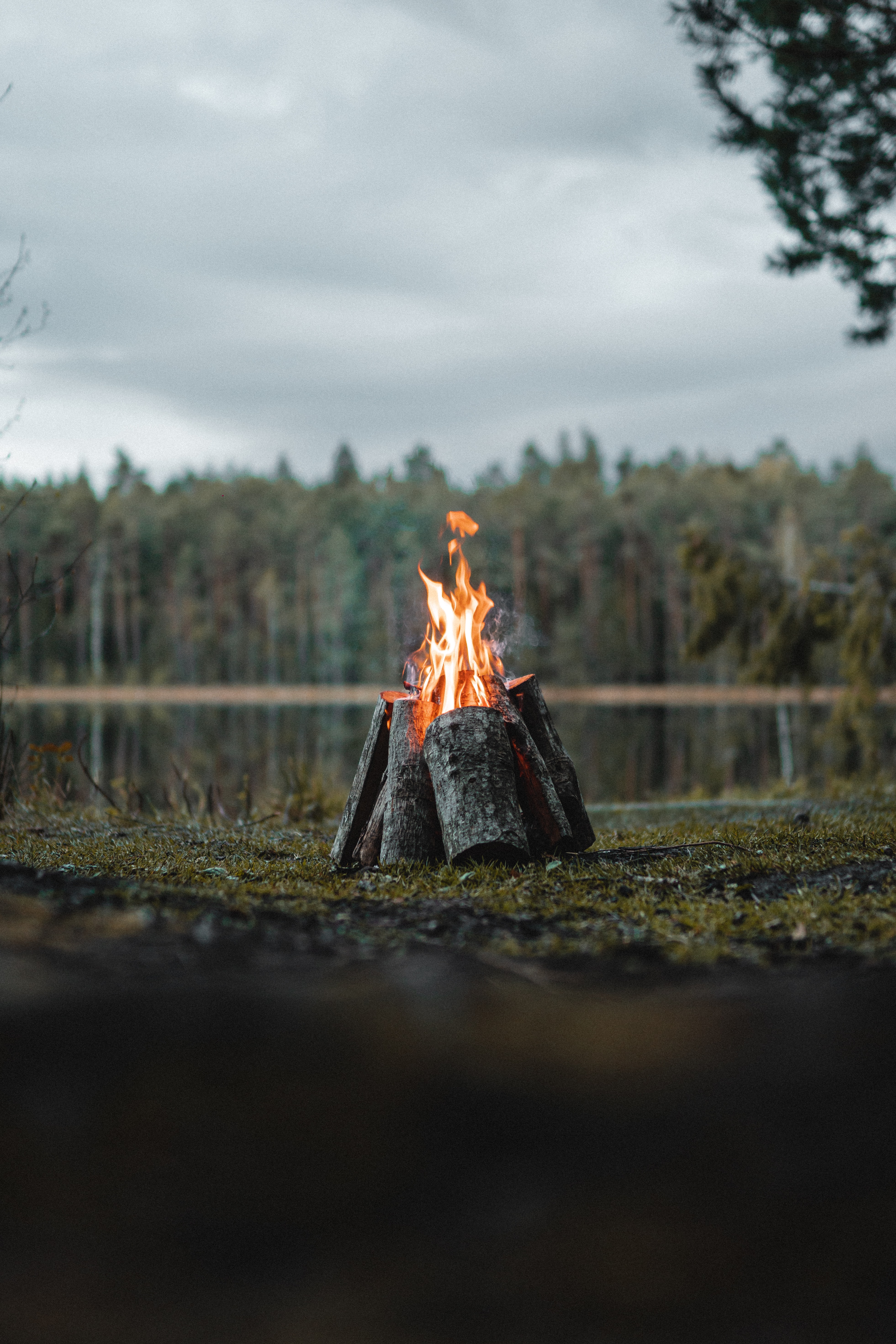 Download Bonfire wallpaper for mobile phone, free Bonfire HD picture