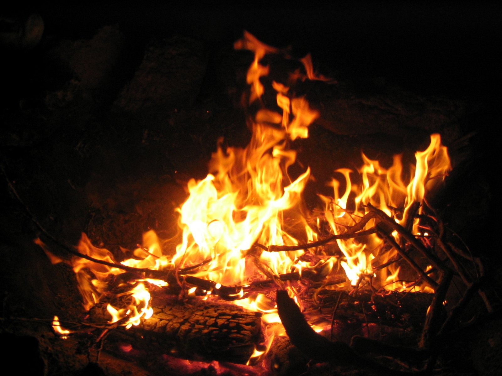 Campfire Free Photo Download