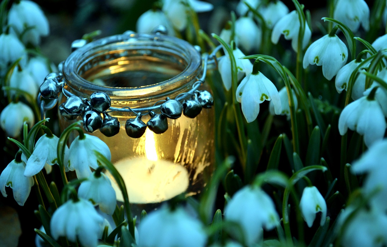 Wallpaper fire, spring, snowdrops, candle, jar image for desktop, section цветы