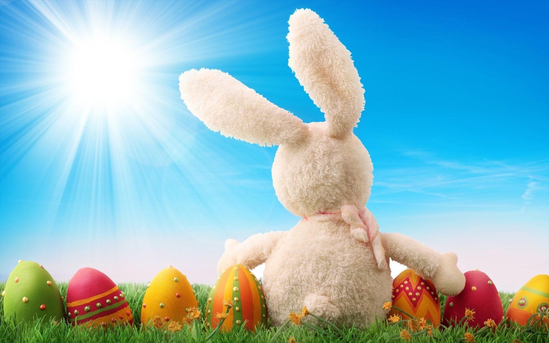 Free download Easter Bunny Wallpaper Free [1920x1200] for your Desktop, Mobile & Tablet. Explore Easter Eggs HD Wallpaper. Wallpaper Easter, Easter Background, Easter Wallpaper