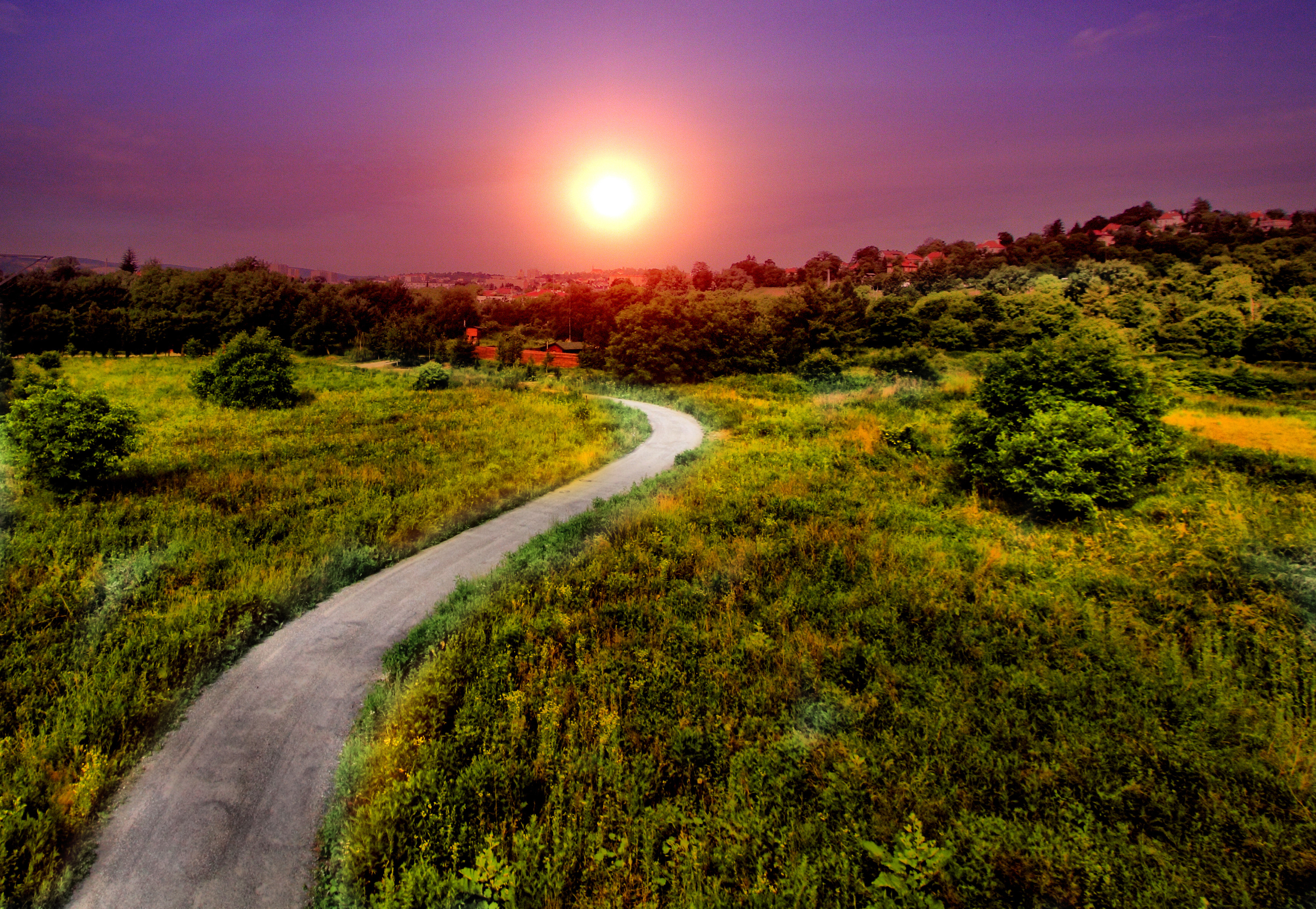 Bright sun, Summer, Pathway Gallery HD Wallpaper