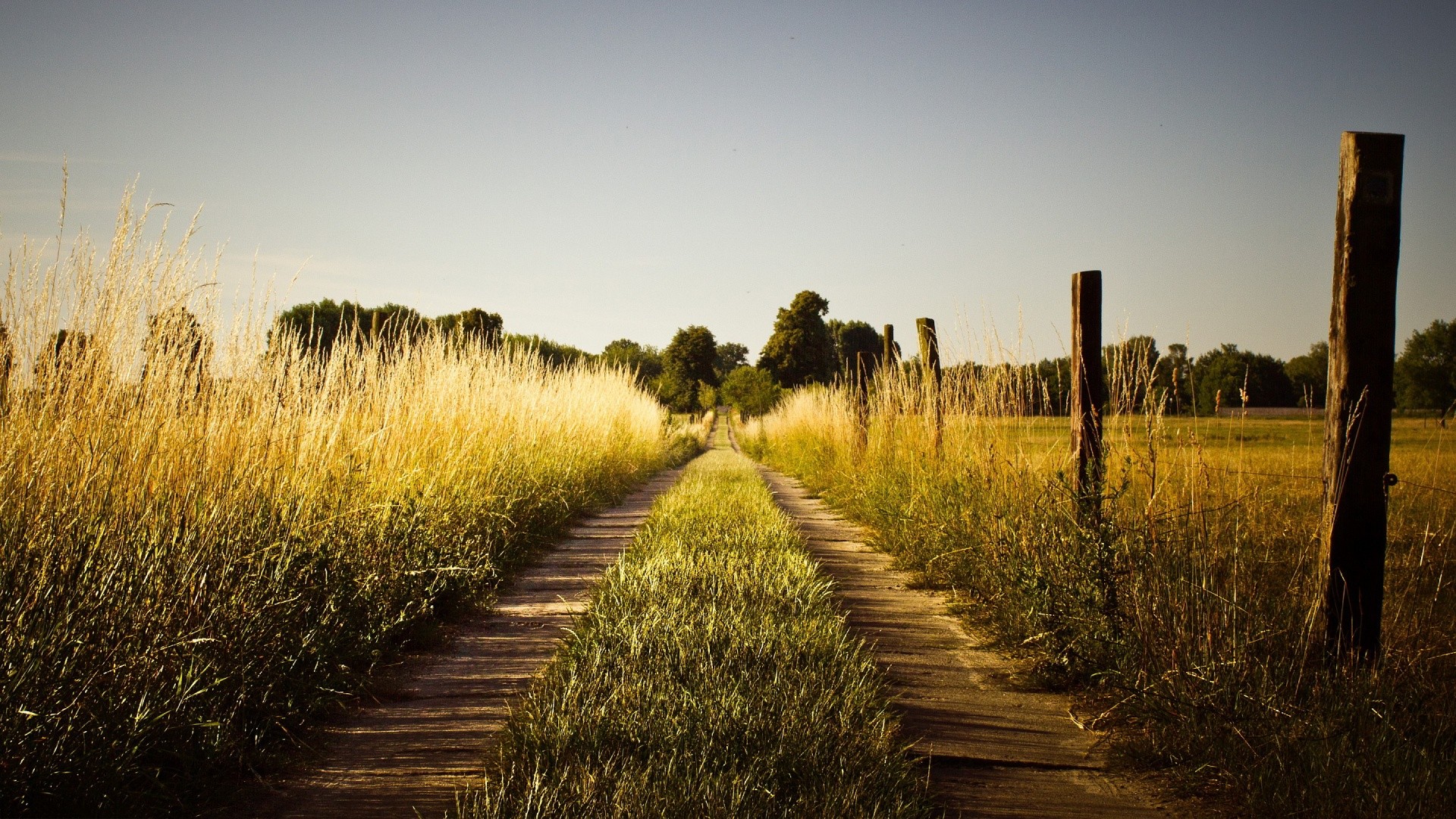 landscape, pathway Gallery HD Wallpaper