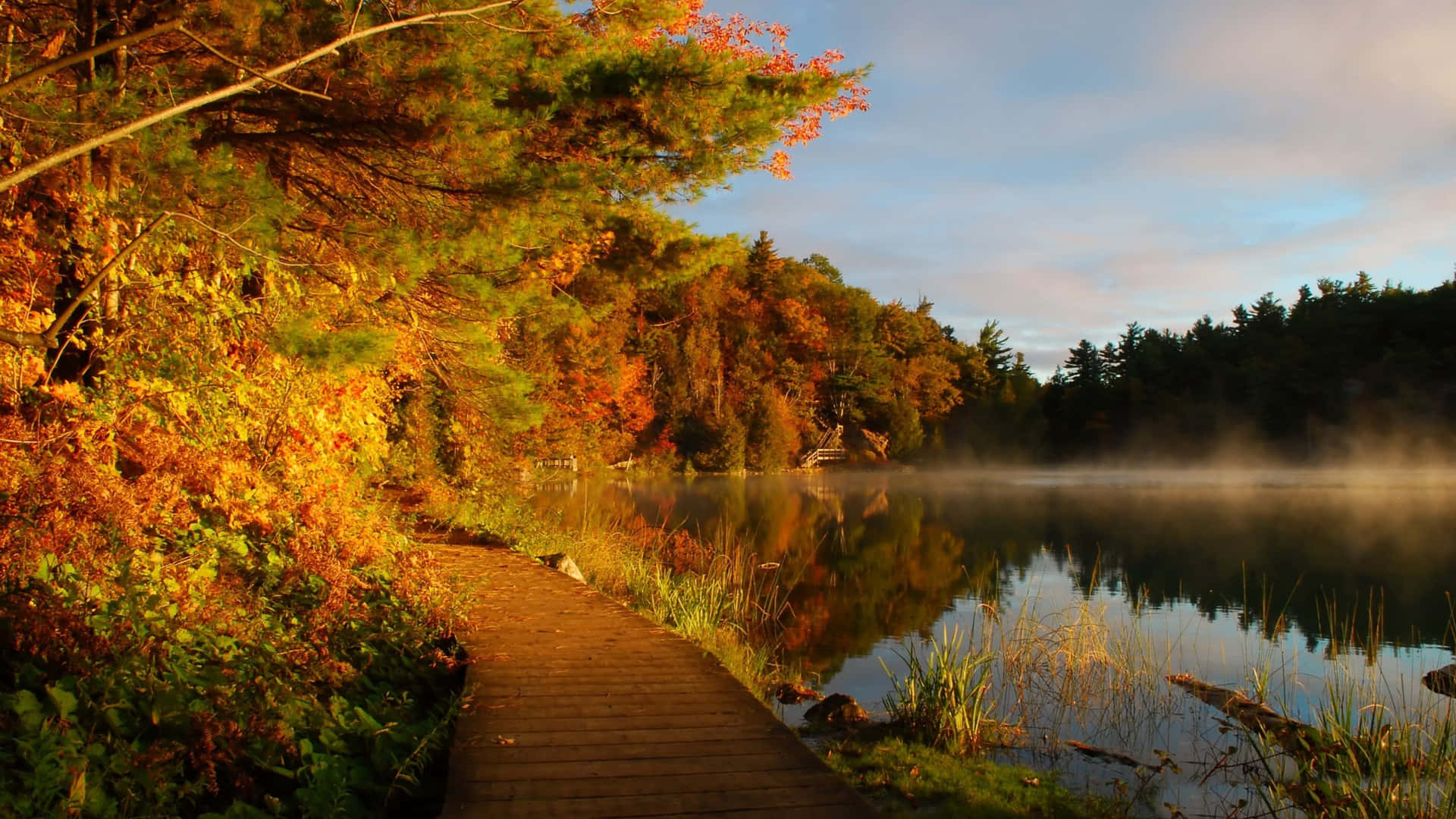 Download New England Summer Park Lake Wallpaper