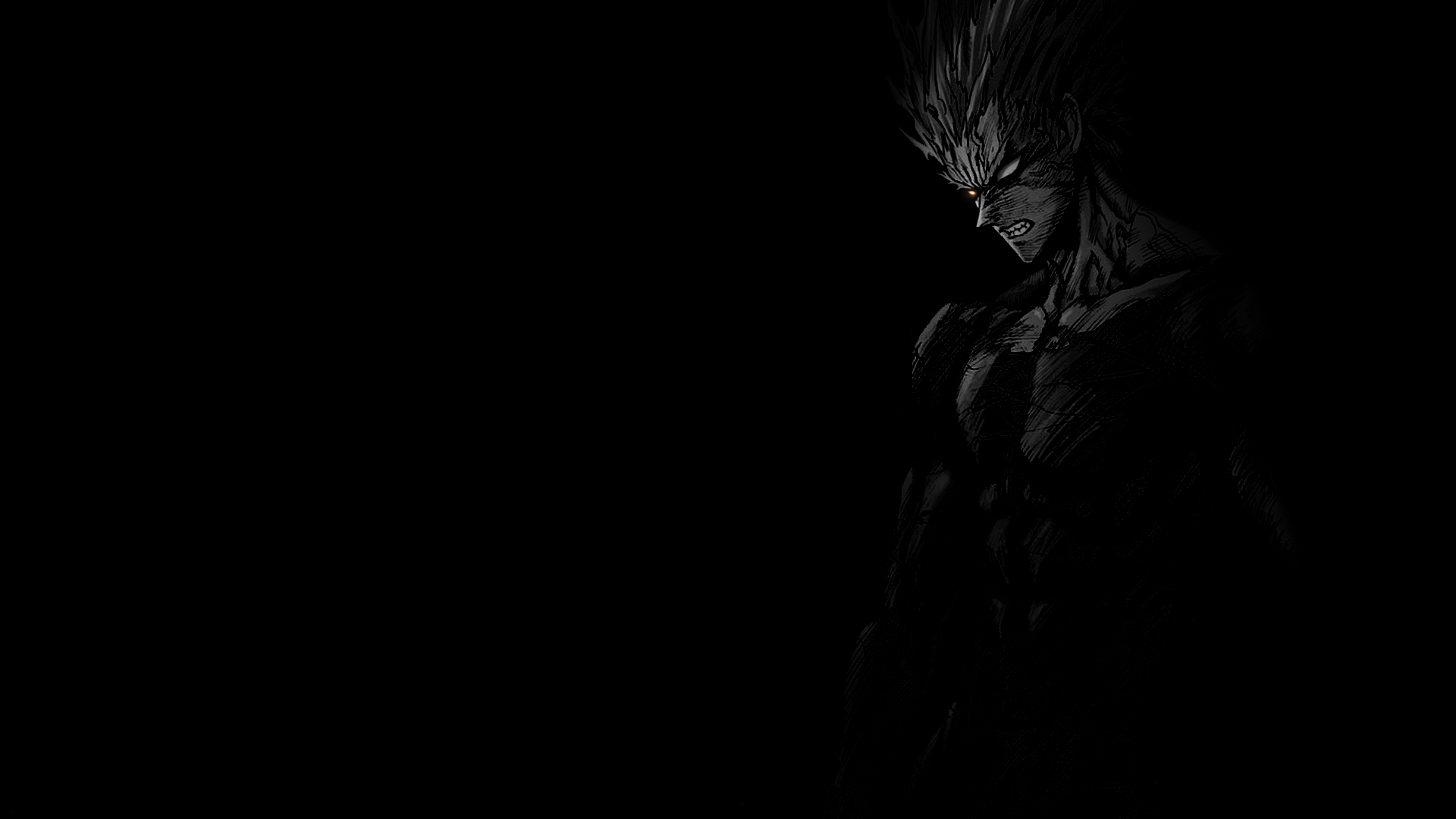 Thought I'd create a quick Garou Wallpaper for Garou fanboys out there. 1920 x 1080 300dpi