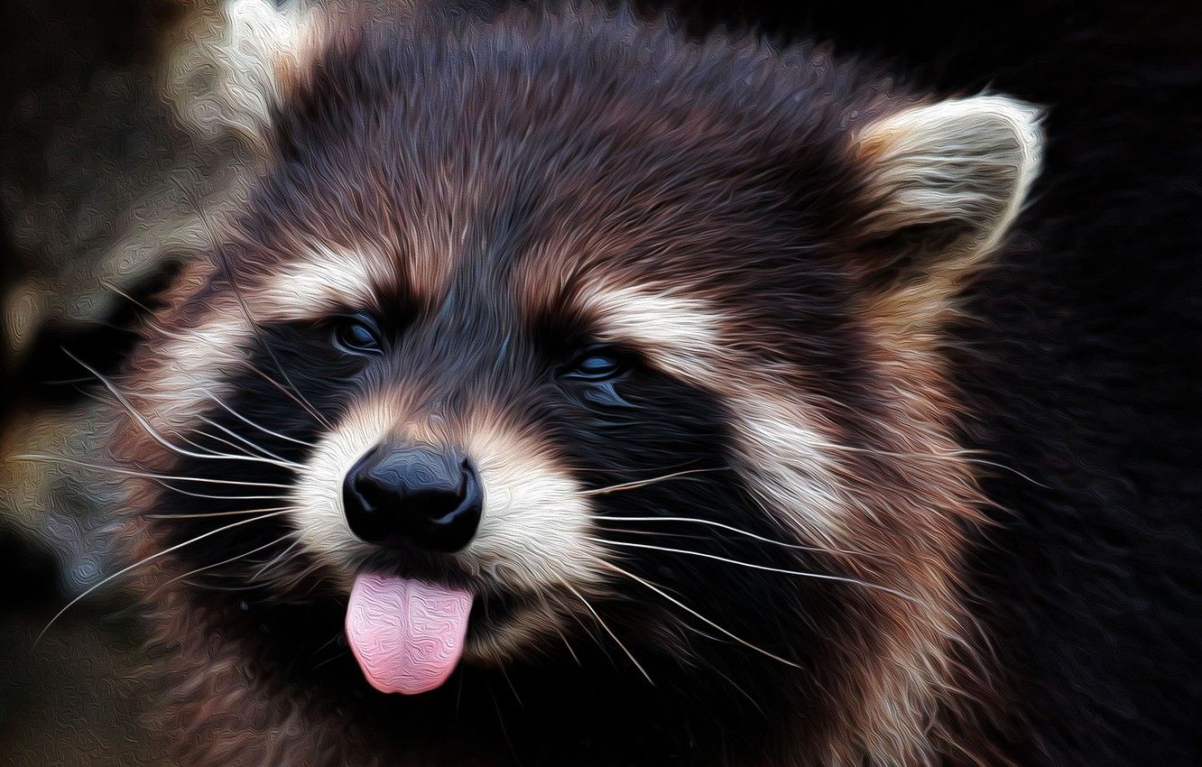 Cute Spring Racoon Wallpapers - Wallpaper Cave