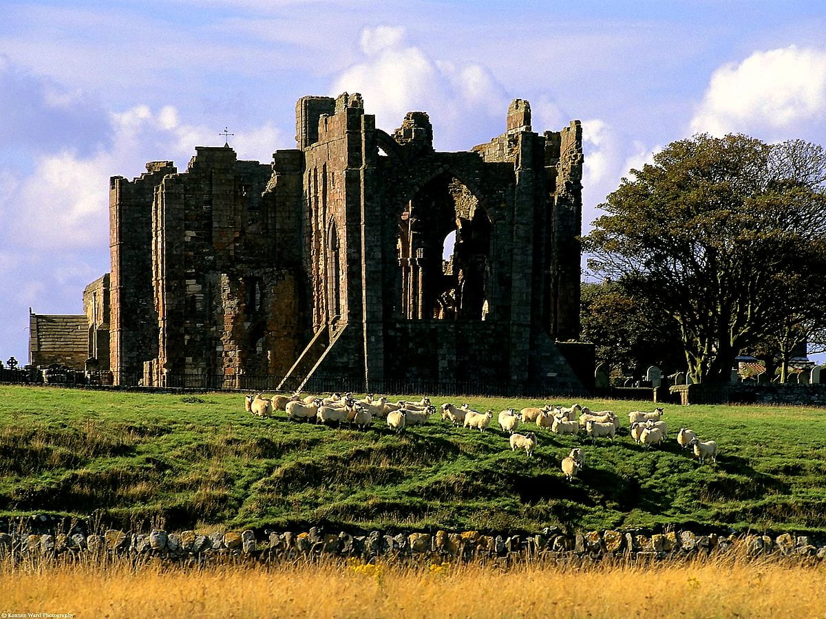 Ruins wallpaper HD. Download Free background
